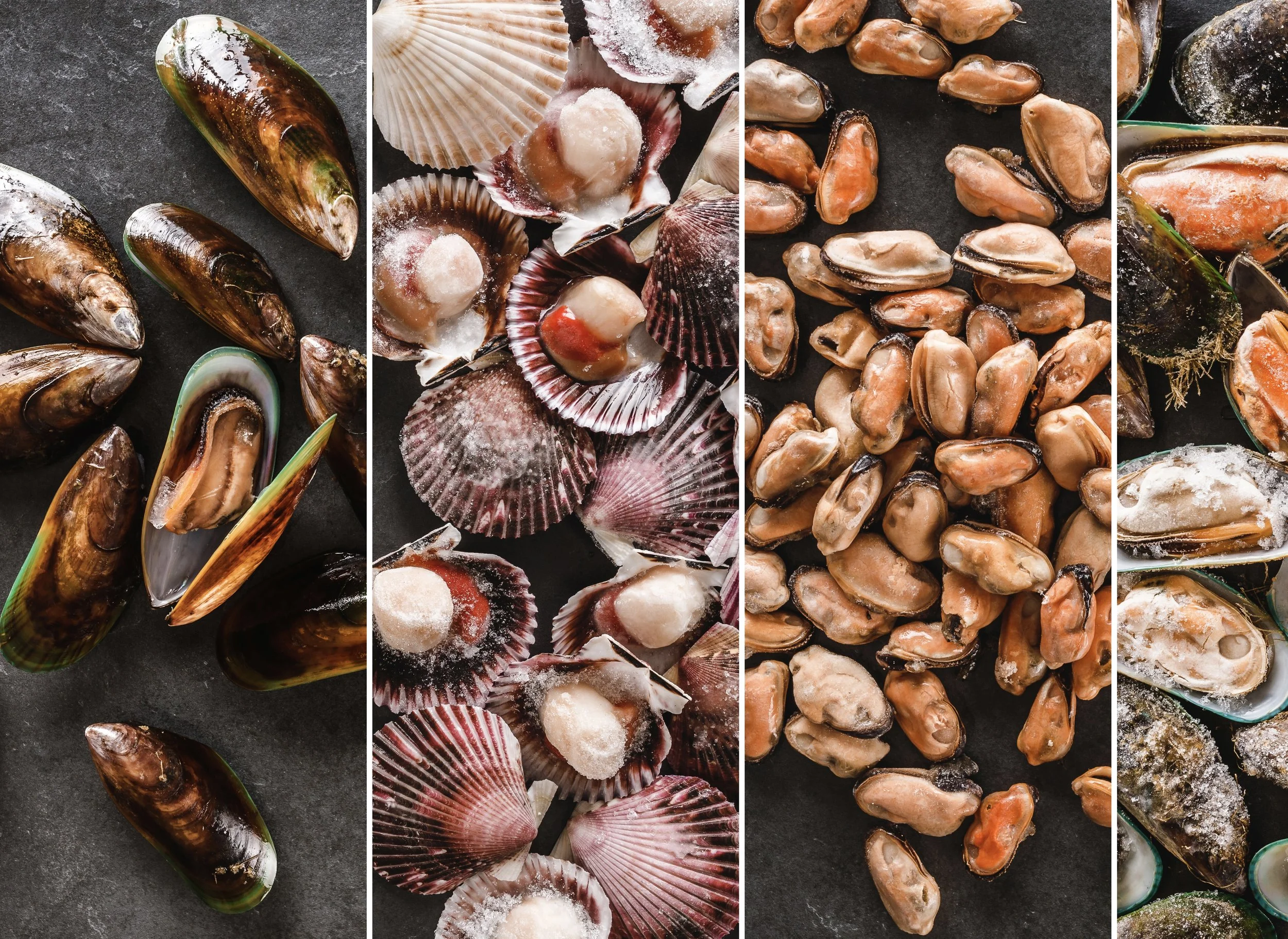 Assortment of the finest Shellfish 