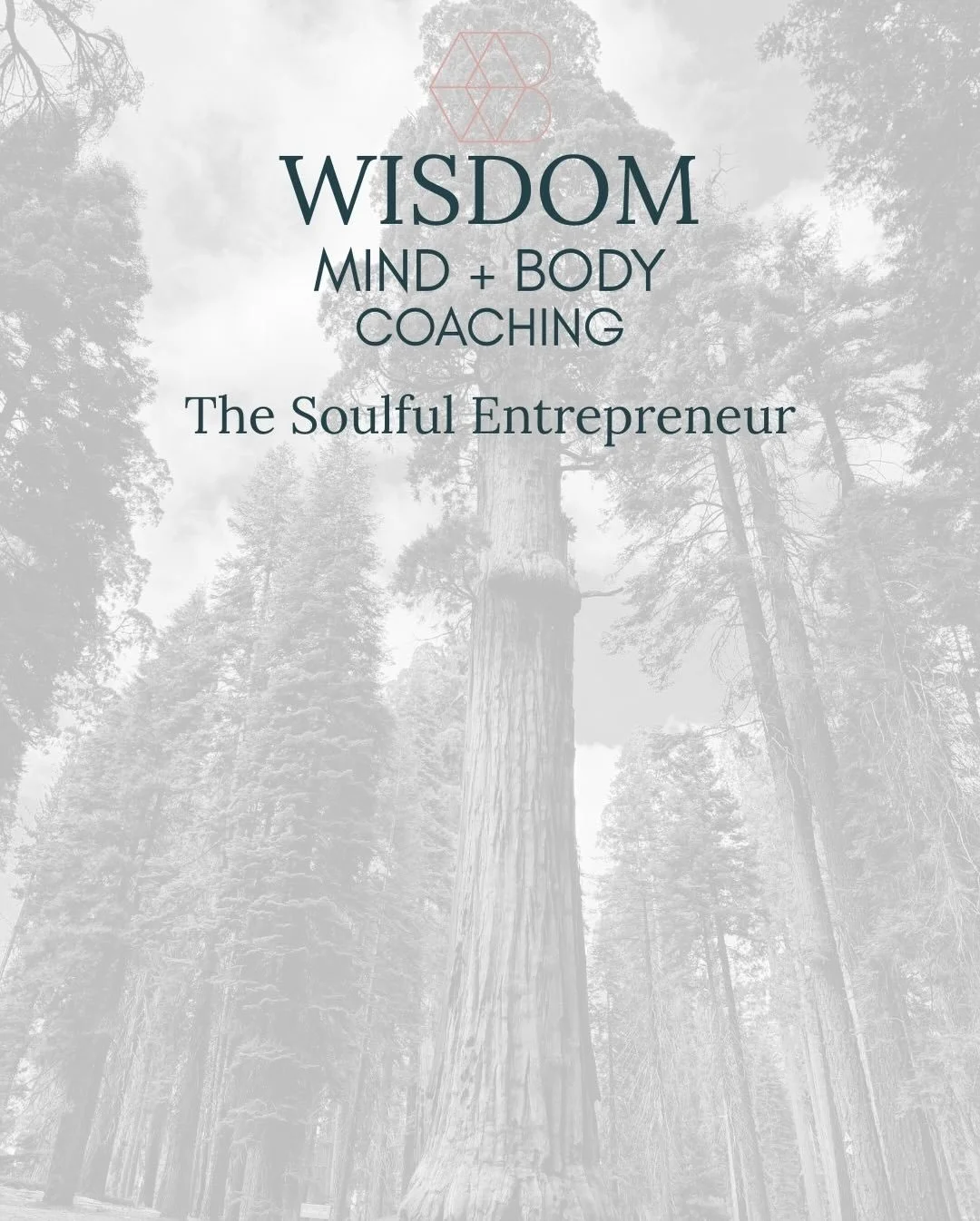 The Soulful Entrepreneur 
Inner Clarity + Aligned Action 

Are you a visionary entrepreneur who knows your work matters but you&rsquo;re craving more clarity, purpose, and grounded strategy? This 6-session private coaching container is designed to he