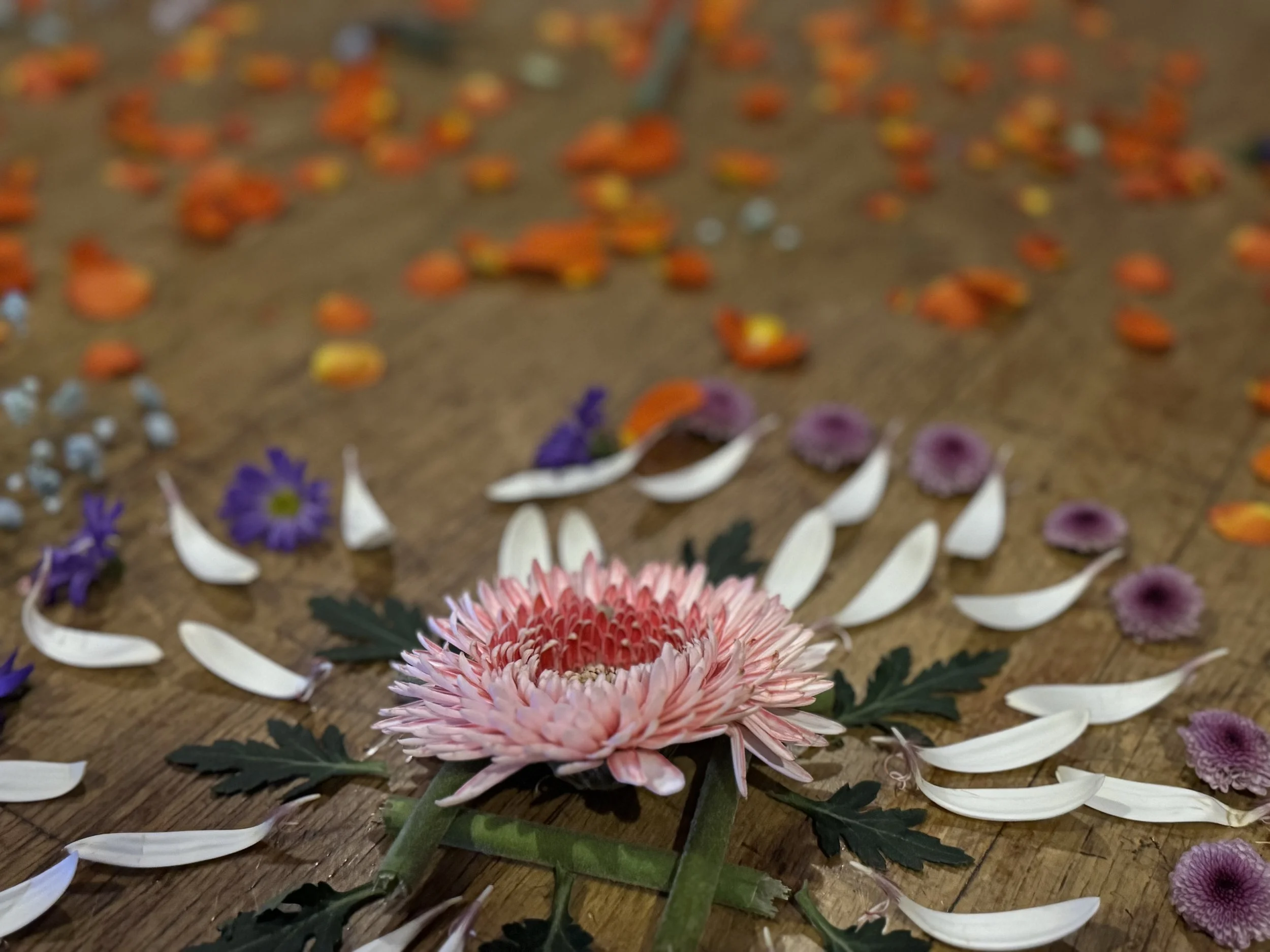Various colorful flower petals arranged on a wooden surface, including a pink chrysanthemum, purple daisies, white petals, and orange petals scattered all around.