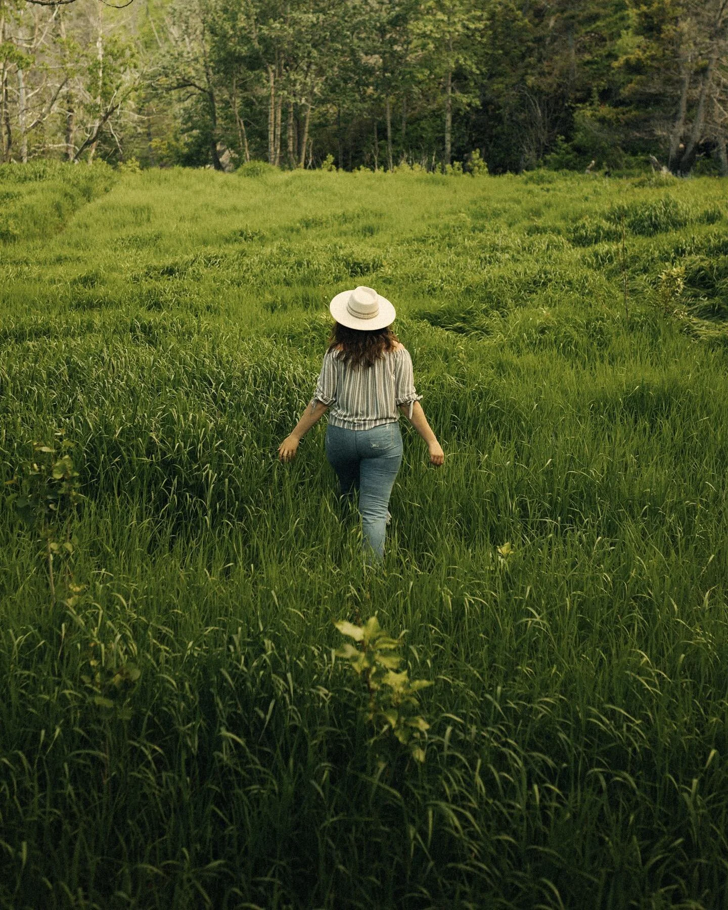 I am the green of the earth. I grow where I please and abide with the trees. Fire and machines are my greatest disease and some cut me away with ease. Let me be and I will reveal a solace and beauty like no other for the sun beaten dirt I will cover.