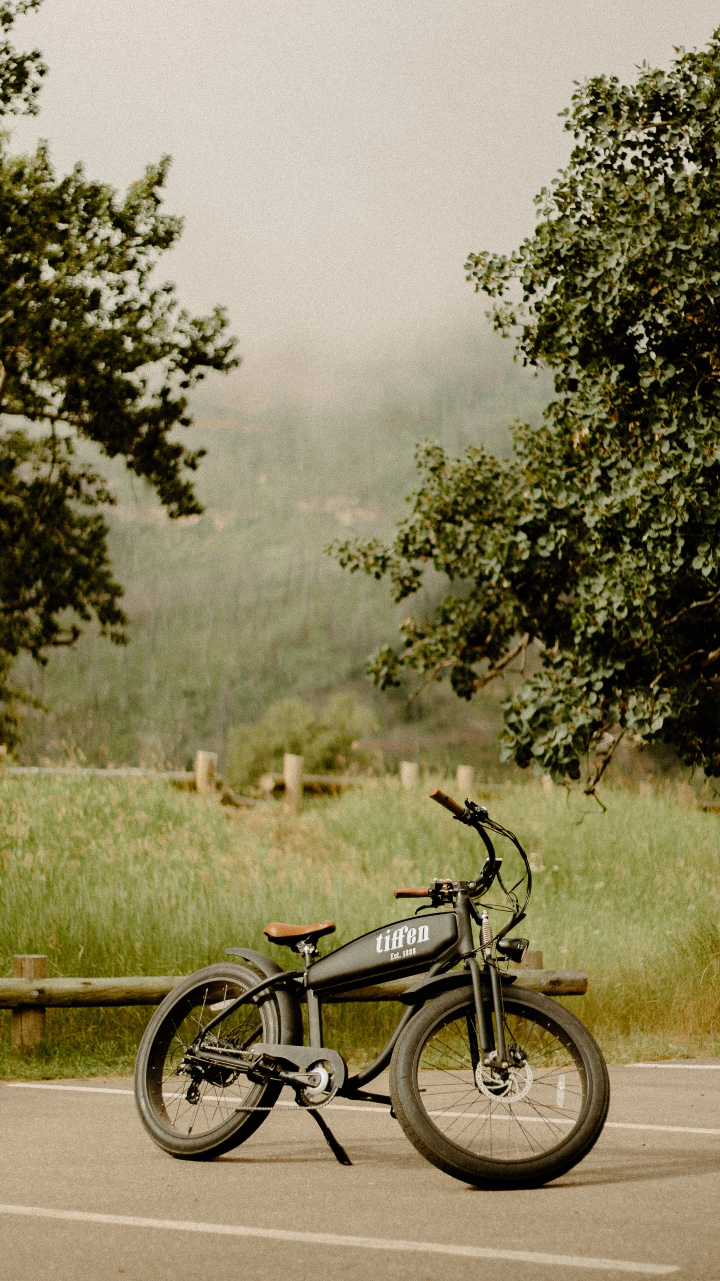 TIffenNew12-1.jpg