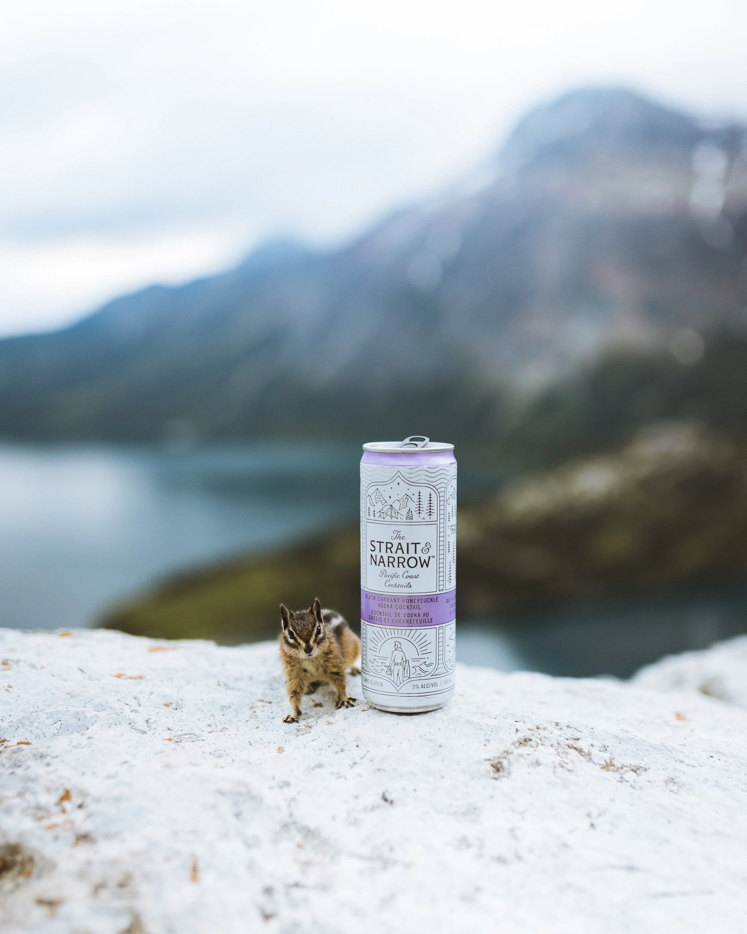 S&N Squirrel Photo2.jpg