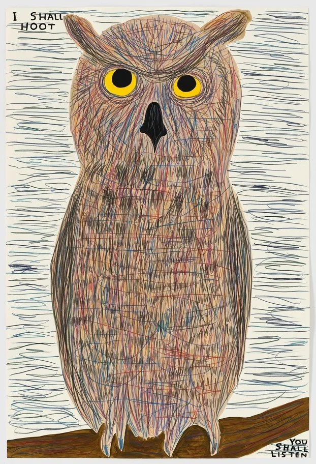  David Shrigley 
 
   Untitled (I Shall Hoot) , 
   2025 
 
