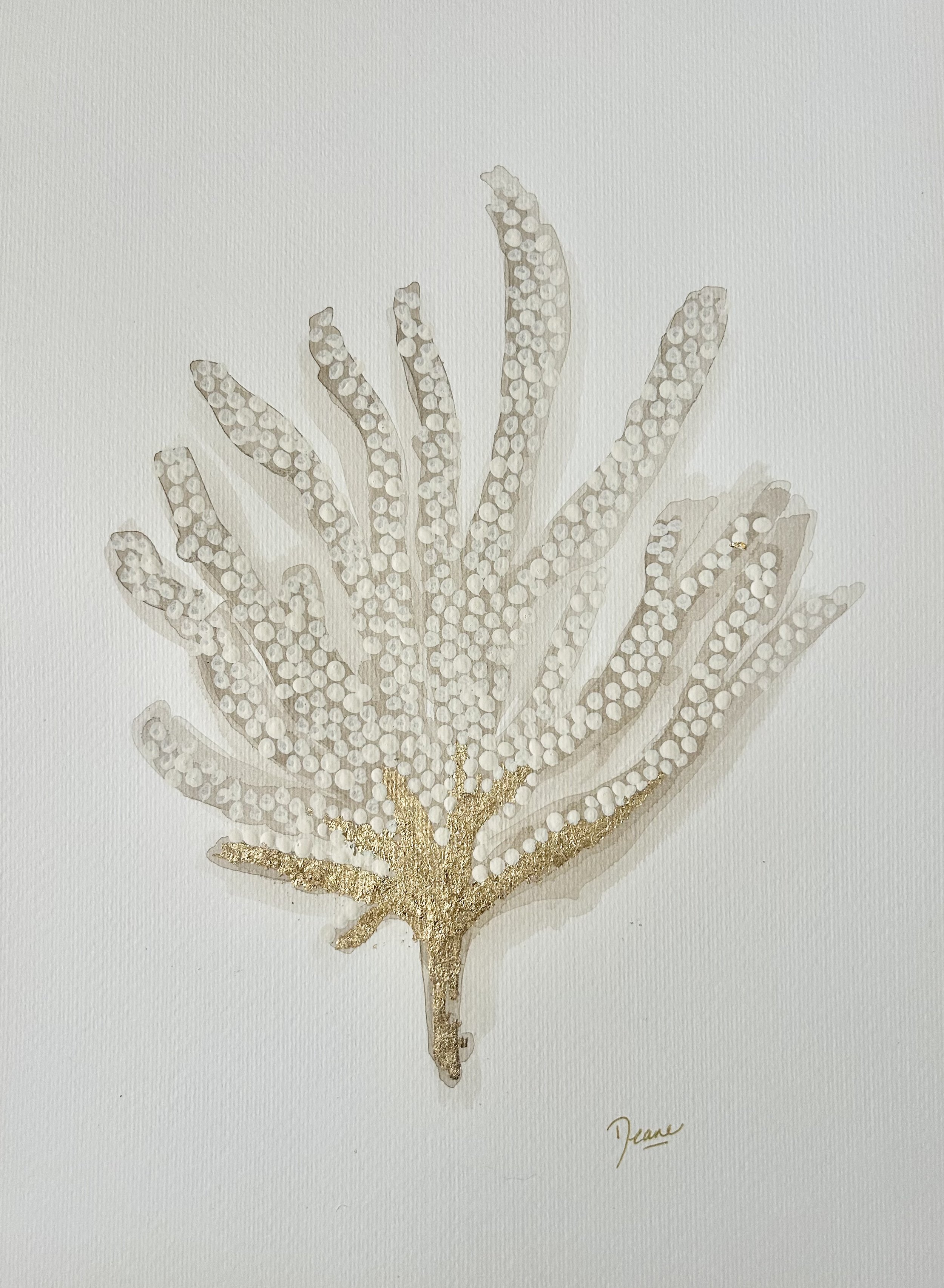 Coral (40 x 60cm Unframed)