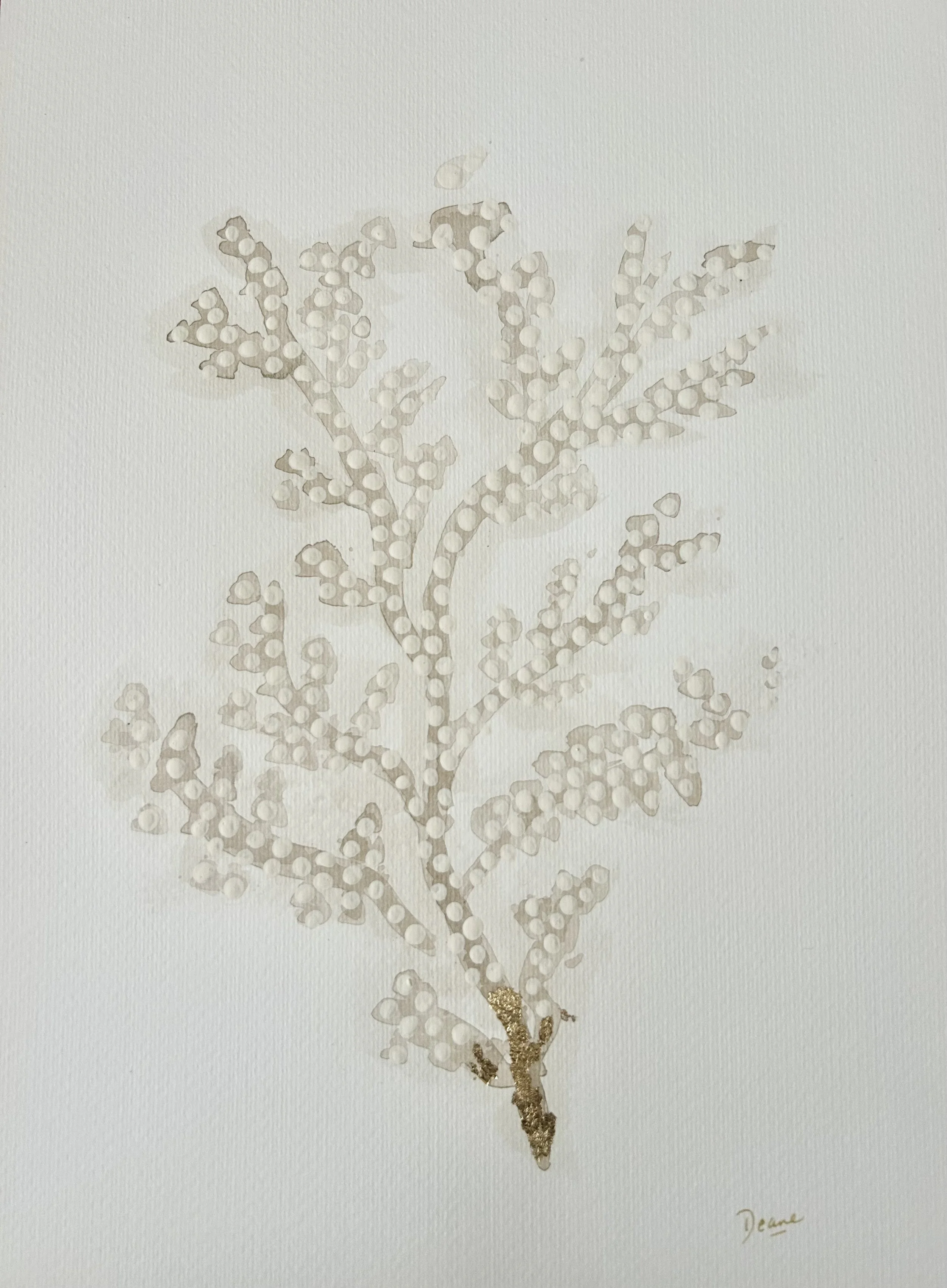 Coral (60 x 40cm Unframed)