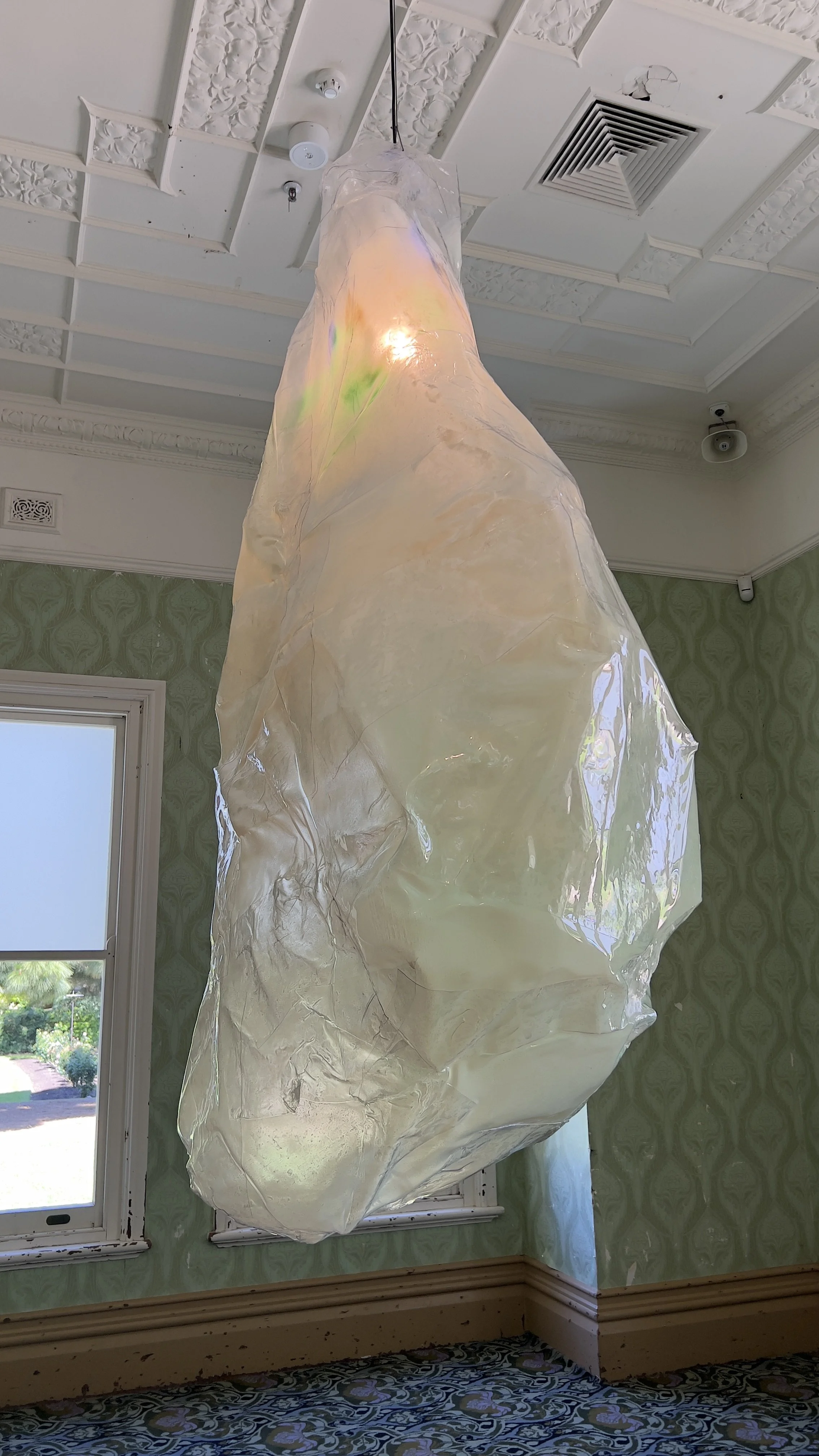 Mikala Dwyer 'Two Shades' 2026, plastic, paint, exisiting light, cardbaord, tape.