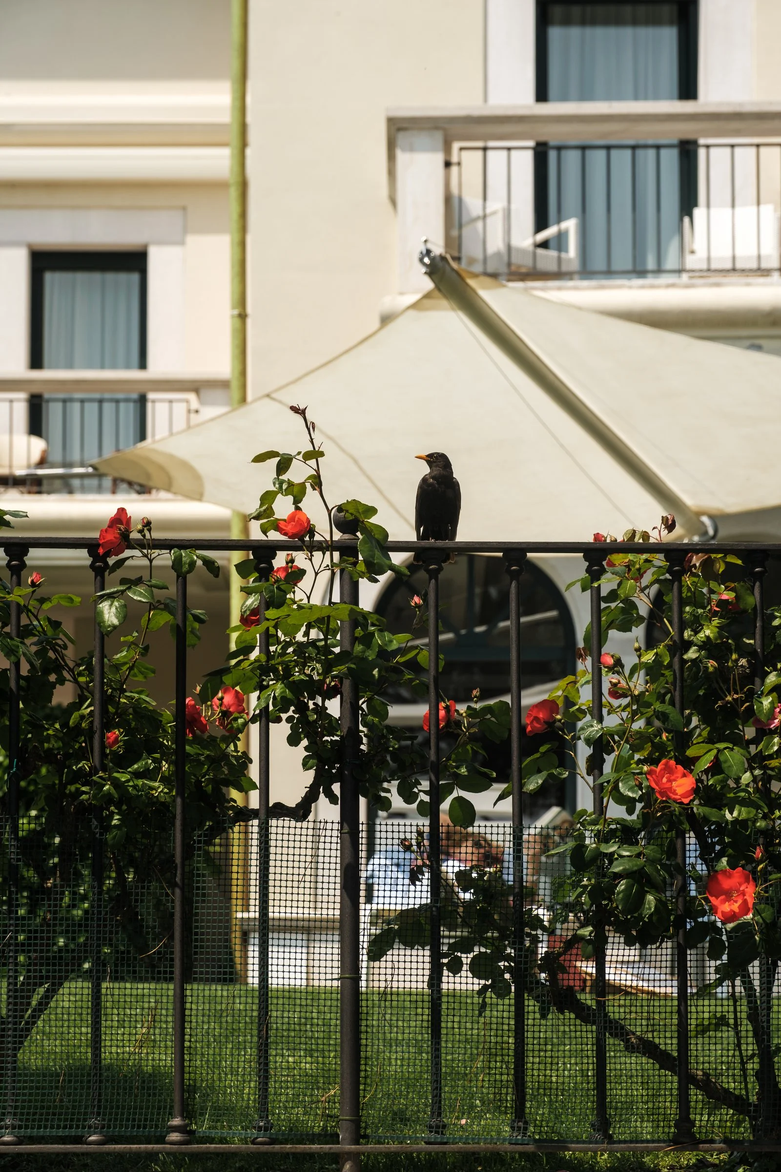 VIVO_VGames_Garda_0497.JPG