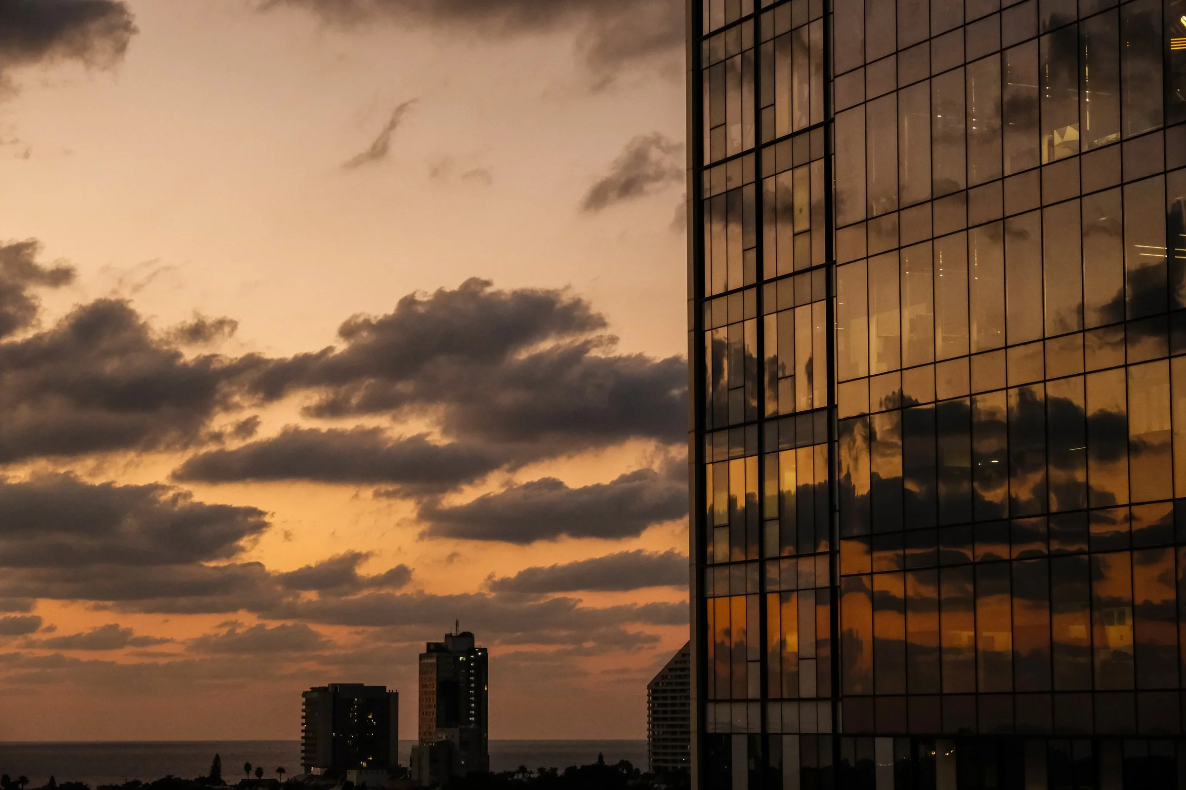 VIVO 19.09.22-262.JPG