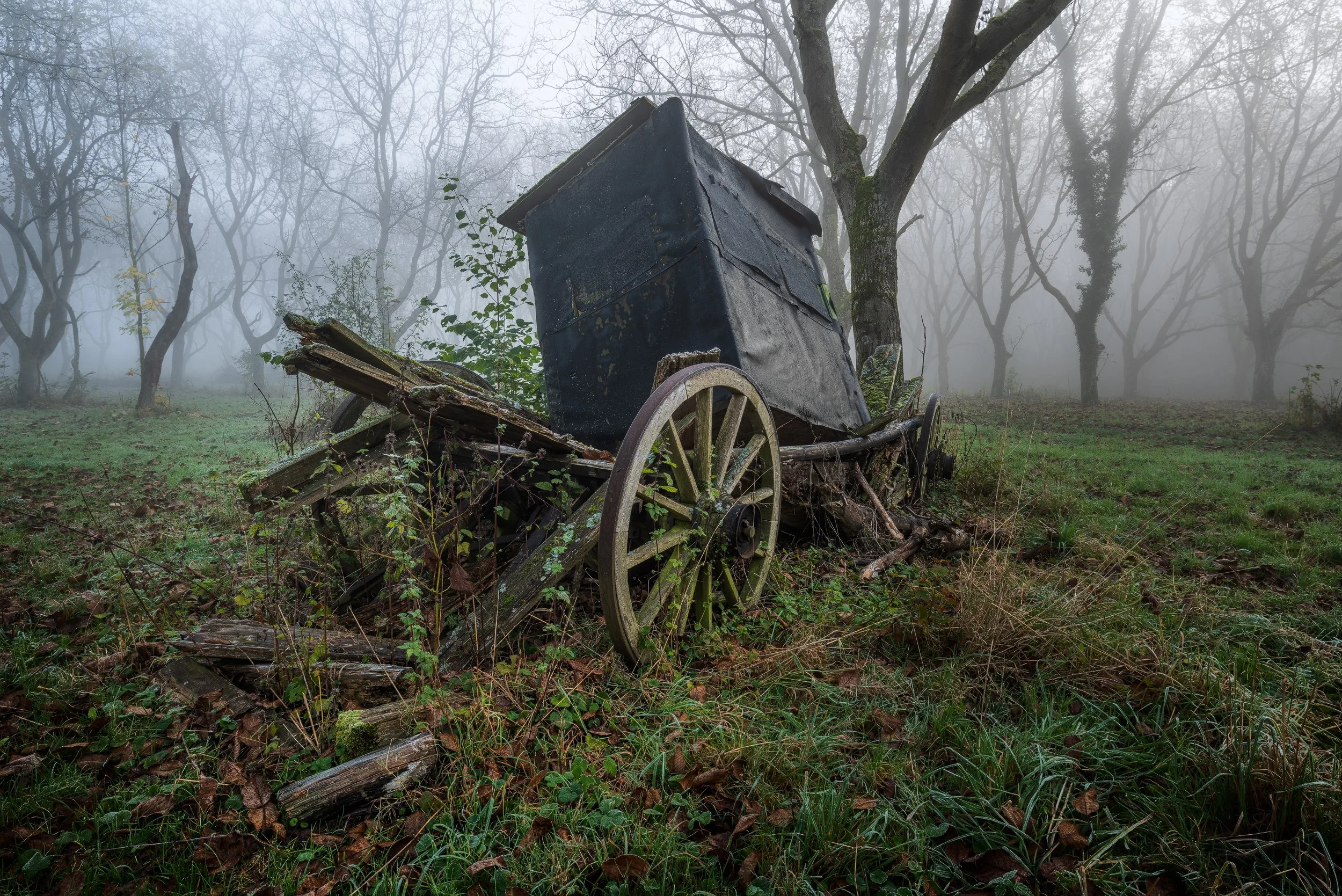 Wer hat die Kutsche gecrashed?