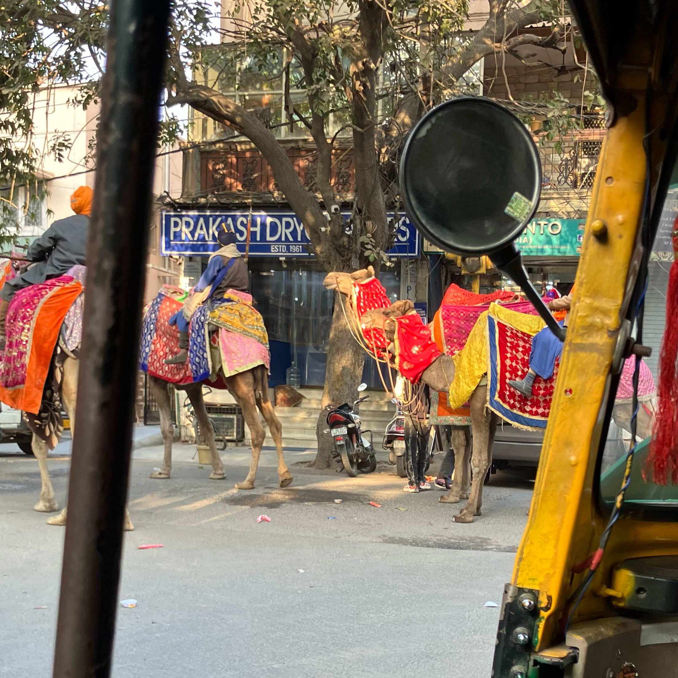 Stolen moments 「Winter in Delhi」