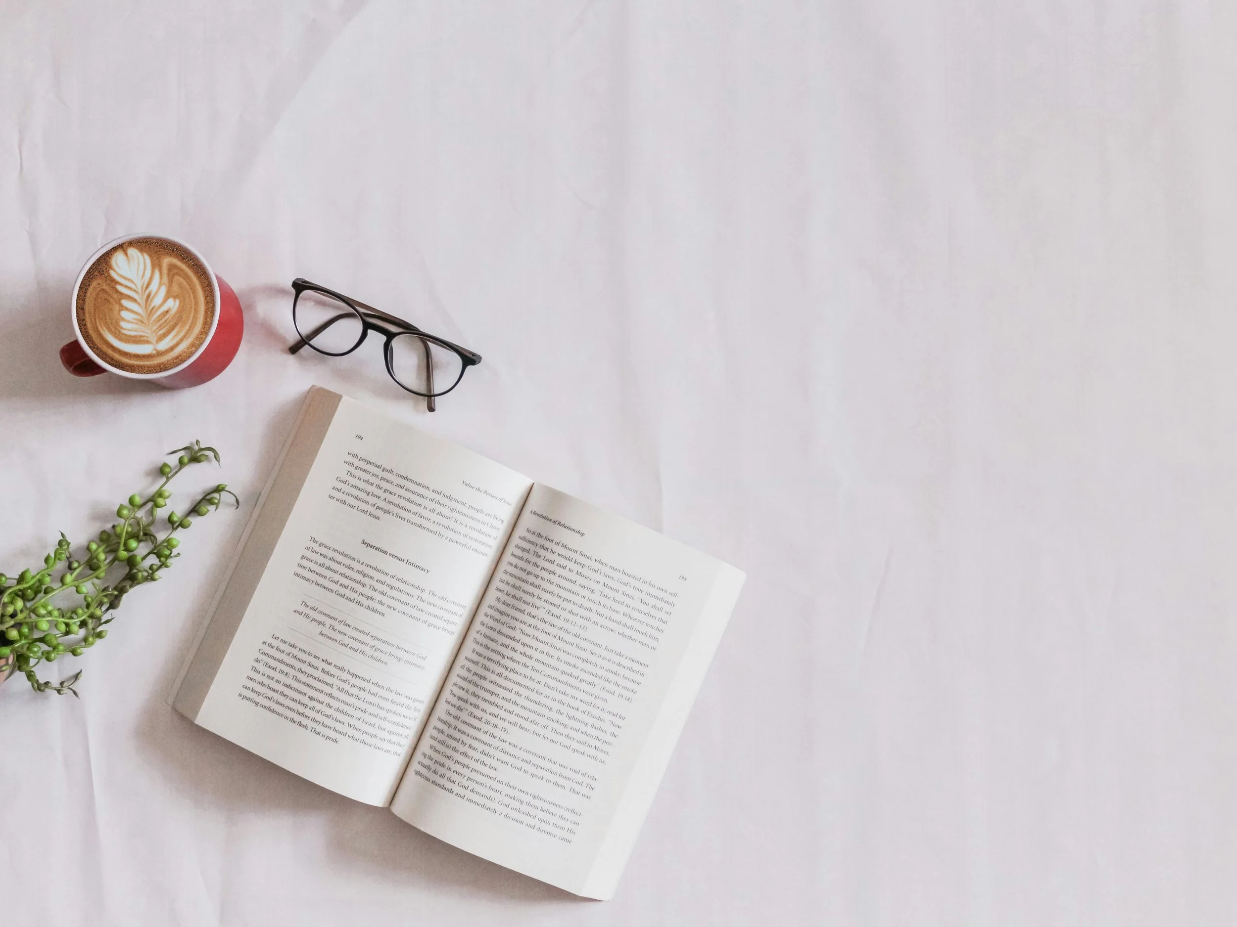 The Best Zero-Waste Cafes in Hong Kong (2026 Guide)