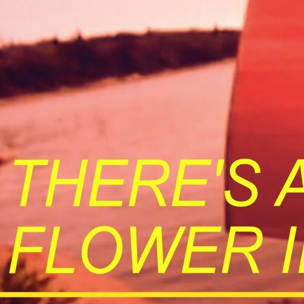 THERE'S A FLOWER IN MY PEDAL // Andrea Dorfman // Kanada // 2005

@dorfmanorama @flottmann_hallen_herne #icff #icff2023