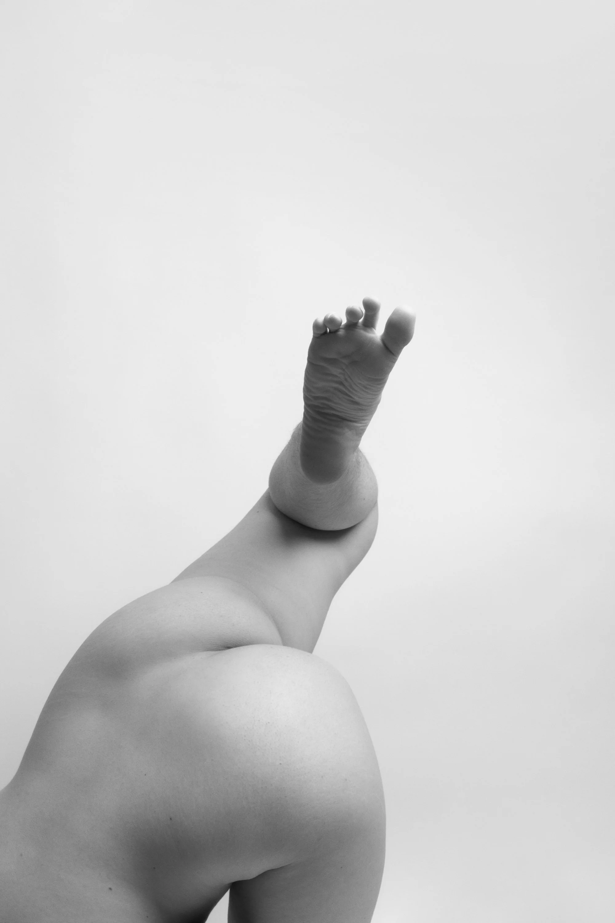 Solenne-1-2026-056409-1.jpg