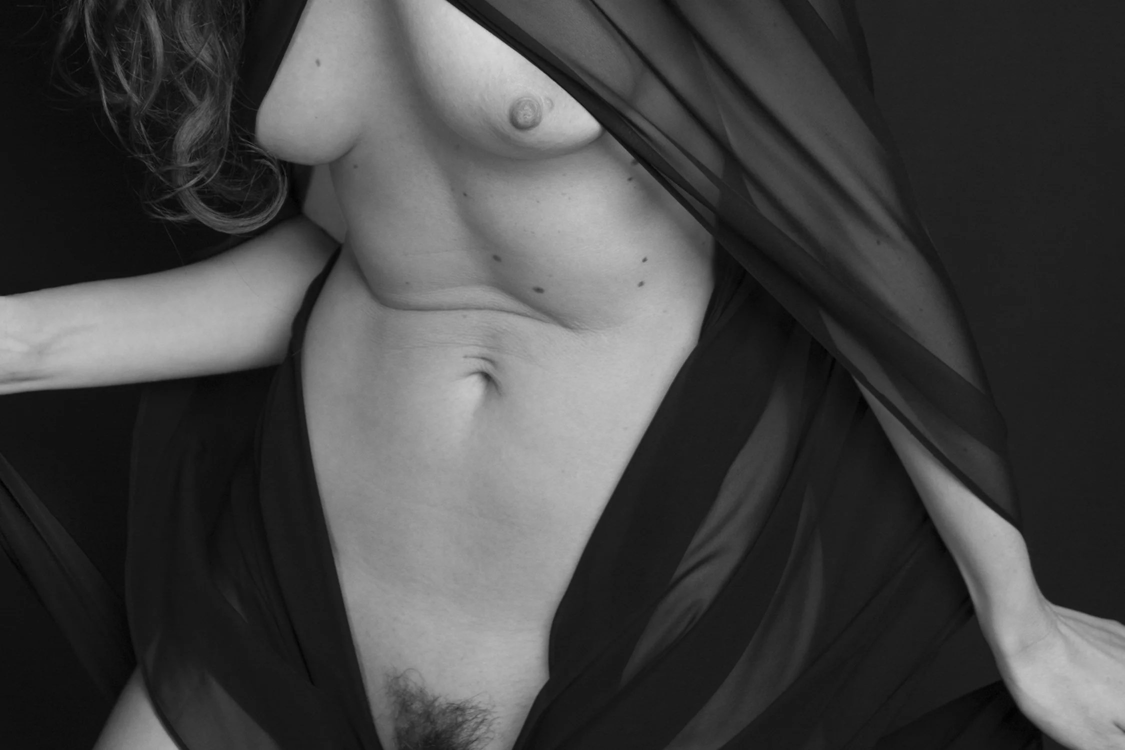 trixie-1-2024-036665-1.jpg