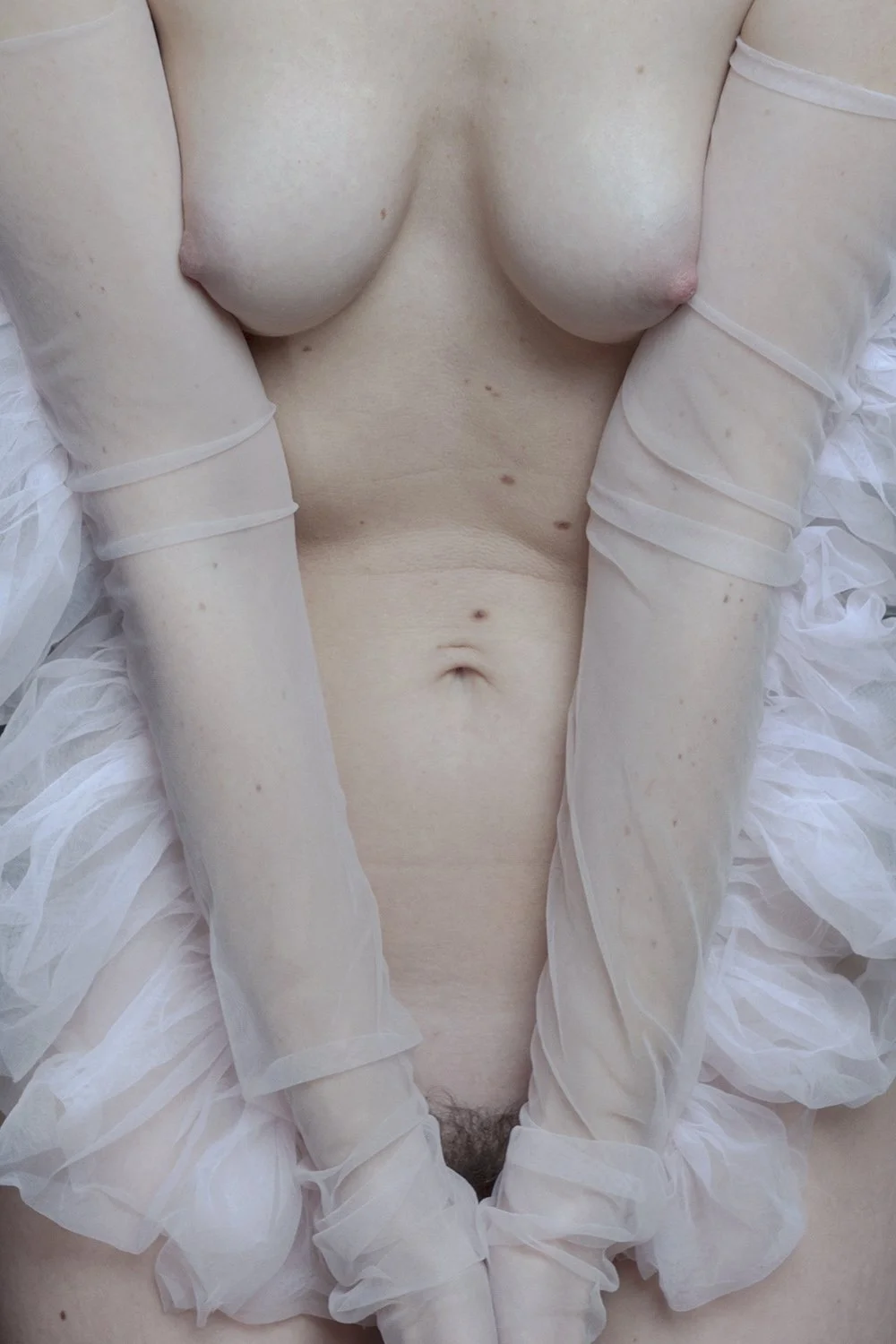 trixie-1-2024-036157-1c.jpg