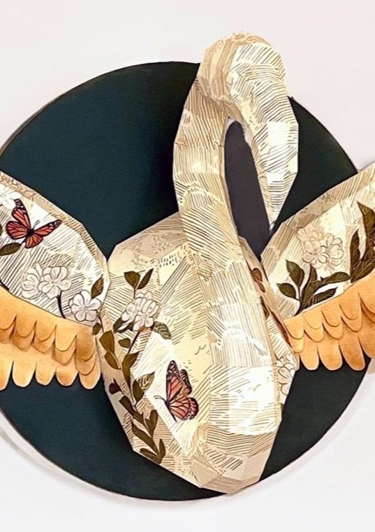 Winged Wonders