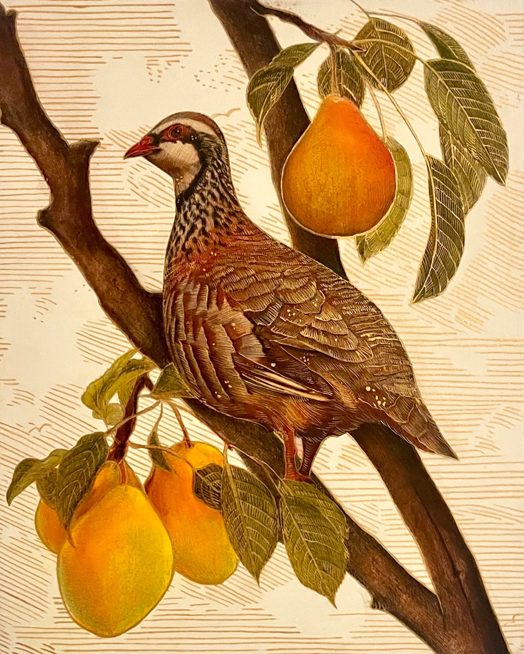 Partridge In a Pear Tree, 8"x10"