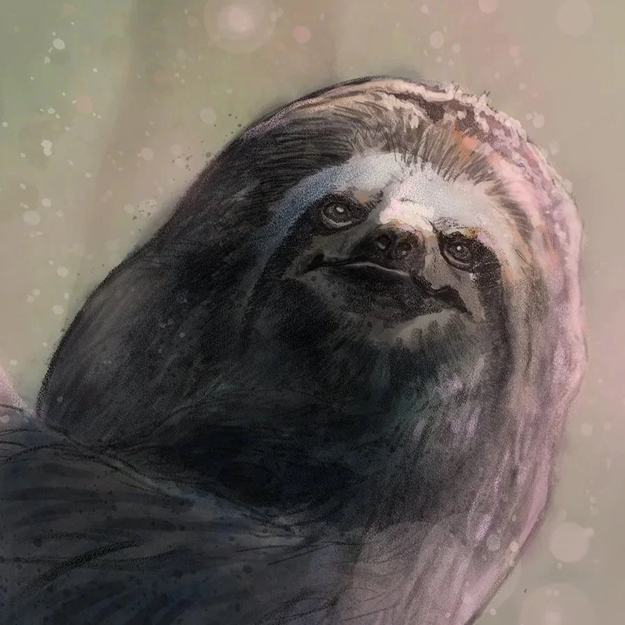Sloth