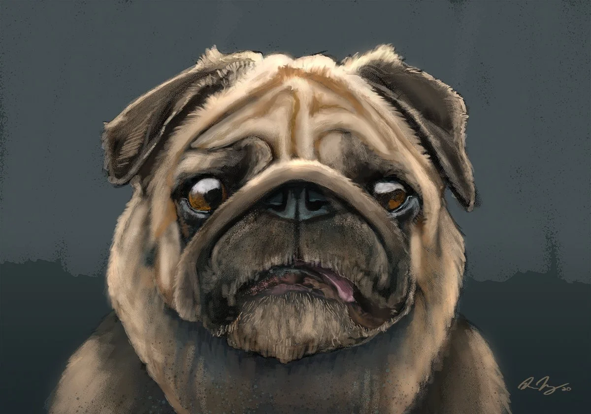 Pug_Main.jpg