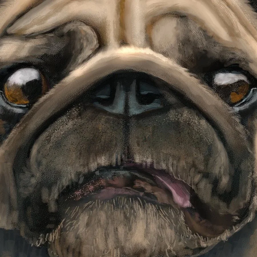Pug