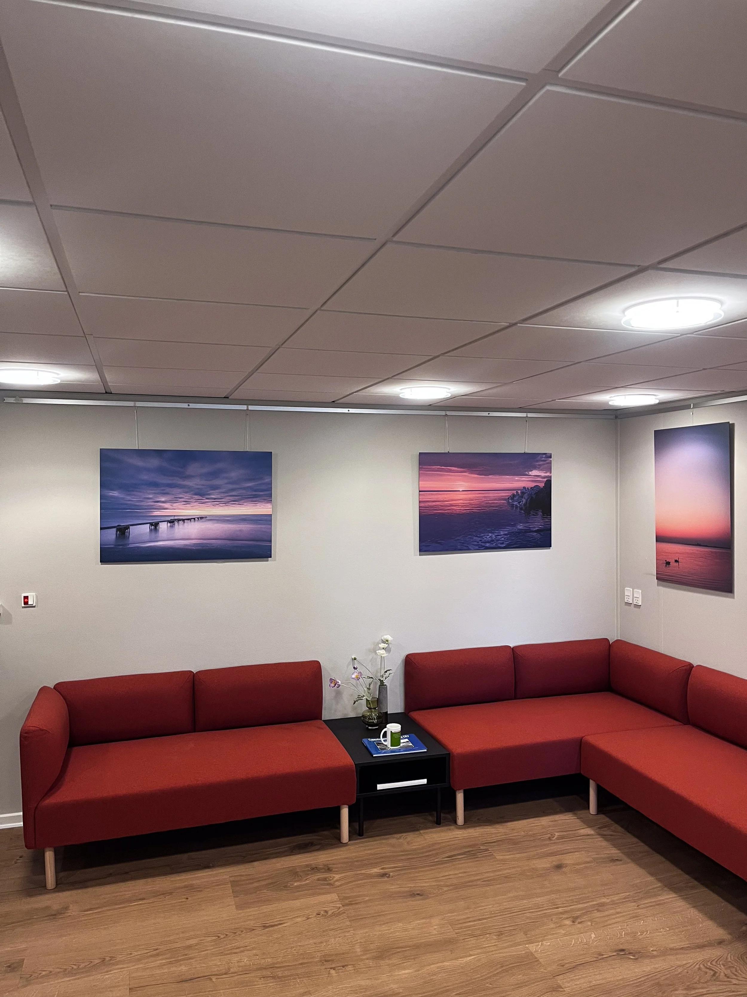 Waiting room with red sofa, black side table, flower vase, framed ocean sunset photographs on white wall, wood flooring, ceiling lights.