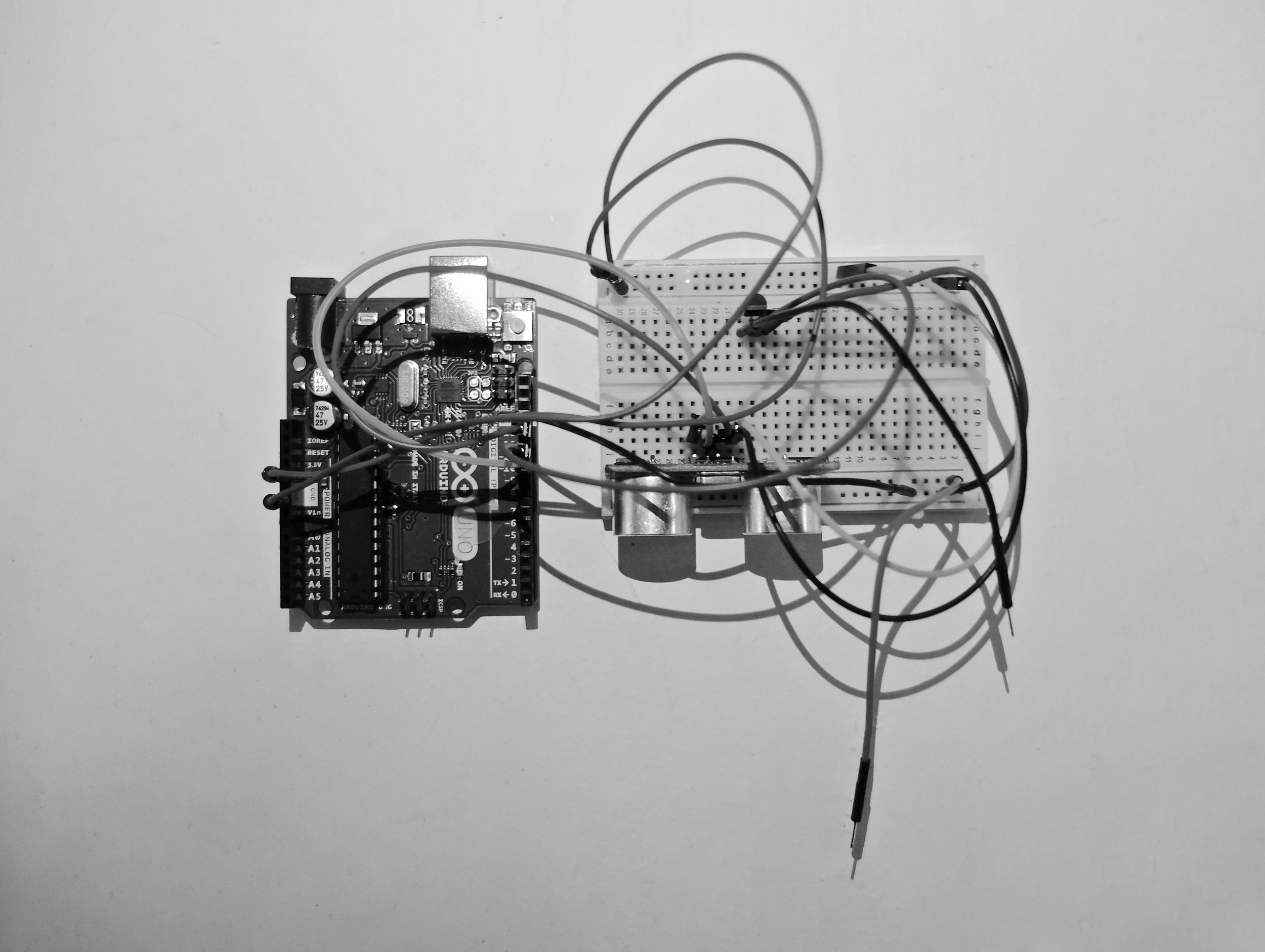 DSCF1029.jpg