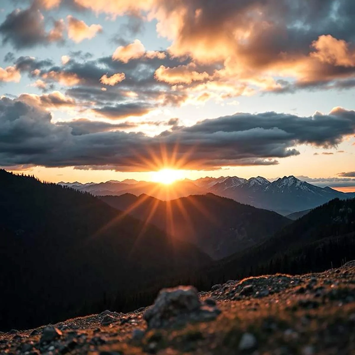 If you have the travel bug it&rsquo;s not your fault.

The science and psychology of wanderlust: why are we always dreaming of somewhere else? 

Take a journey into the mind of the traveler and you may find out there&rsquo;s a reason why you are the 