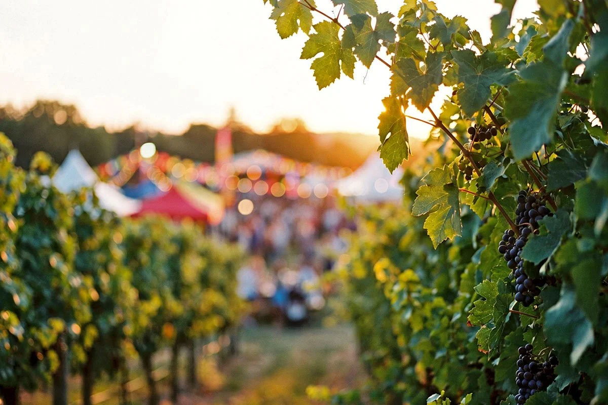 Why Special Events are the Most Underused Marketing Channel in the Wine Industry
