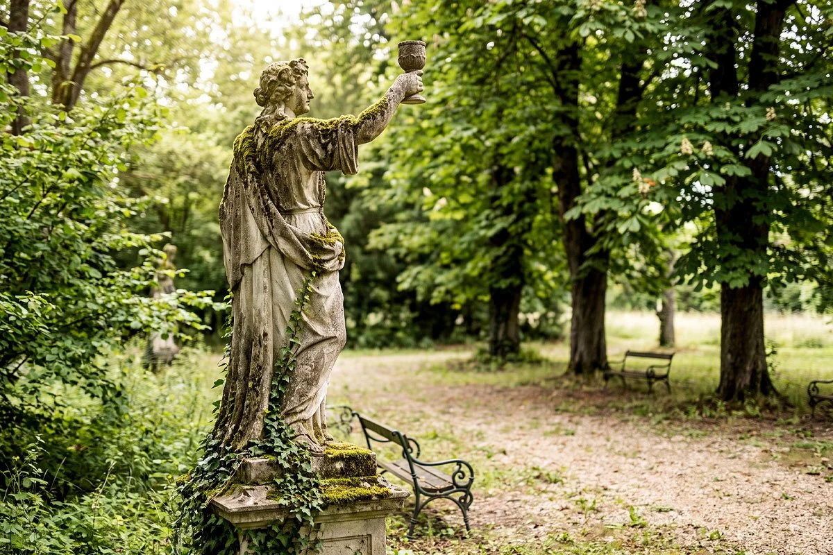 Turning Your Winery’s Brand Philosophy into Proof: This is How to Do It