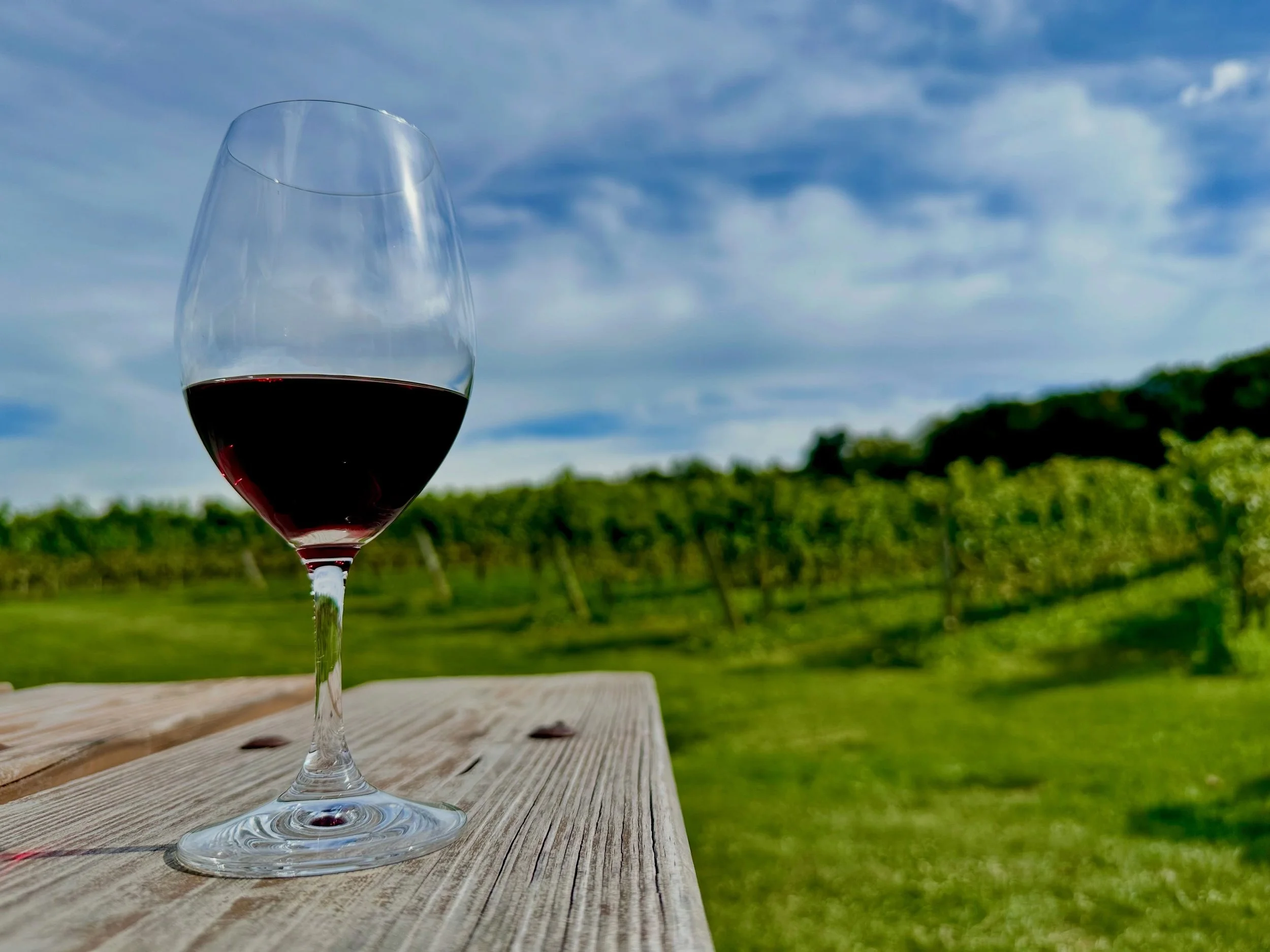 Where will your weekend plans take you?

#thirtybenchwinery #winery #winerylovers #winetourism #cabernetfranc