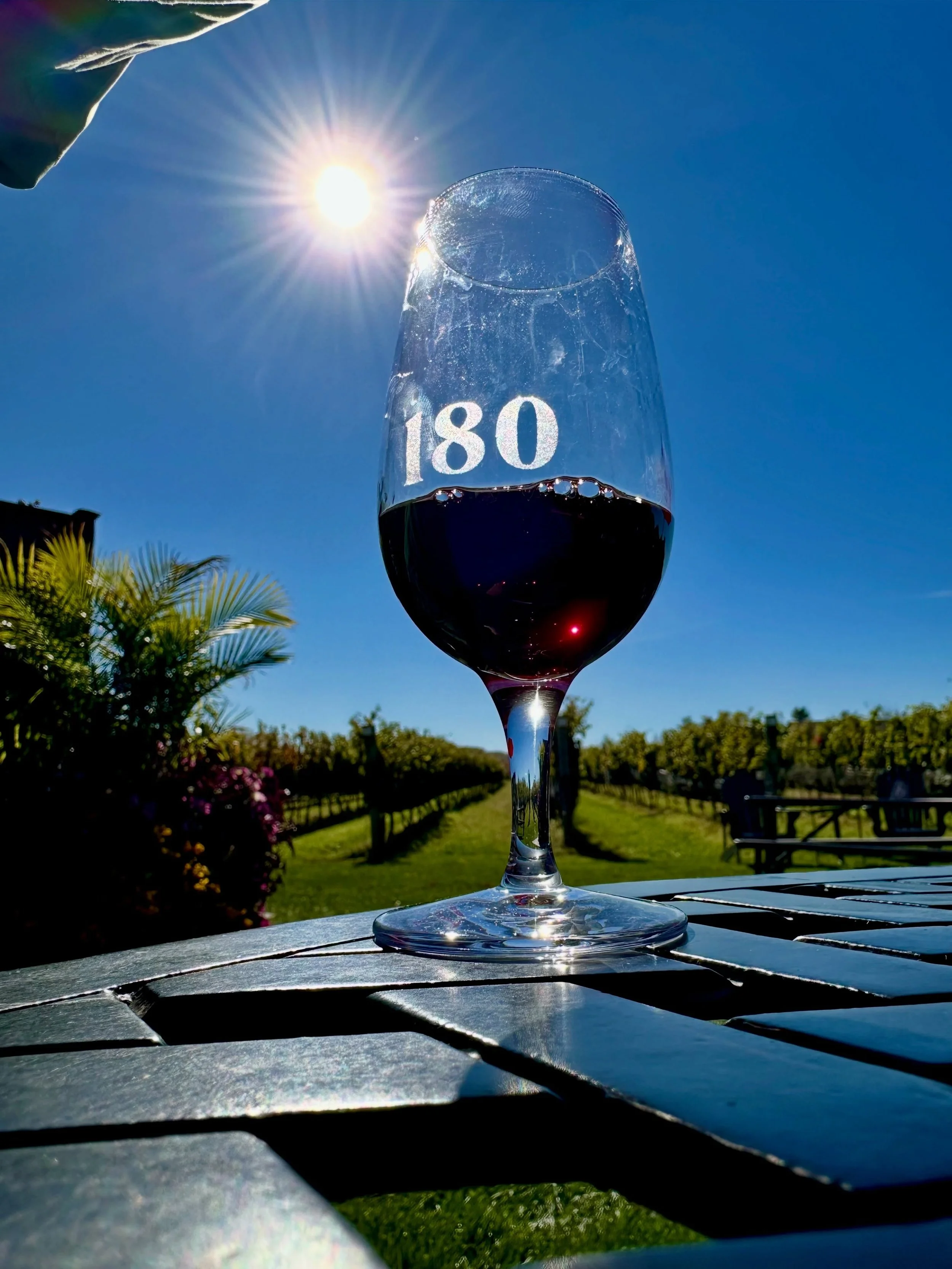 Capturing the picture perfect October days.

#180winery #winesofontario #winerylife #winery