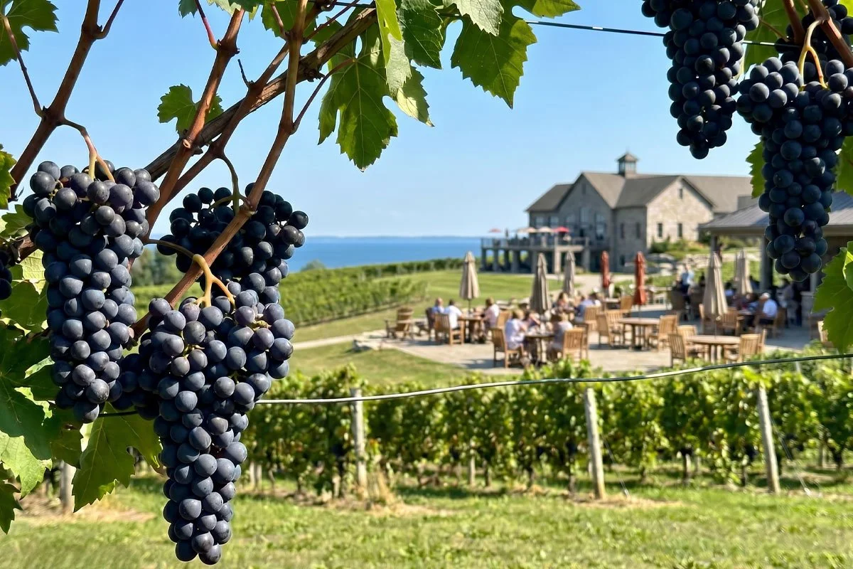 Scenic view of a Niagara winery.
