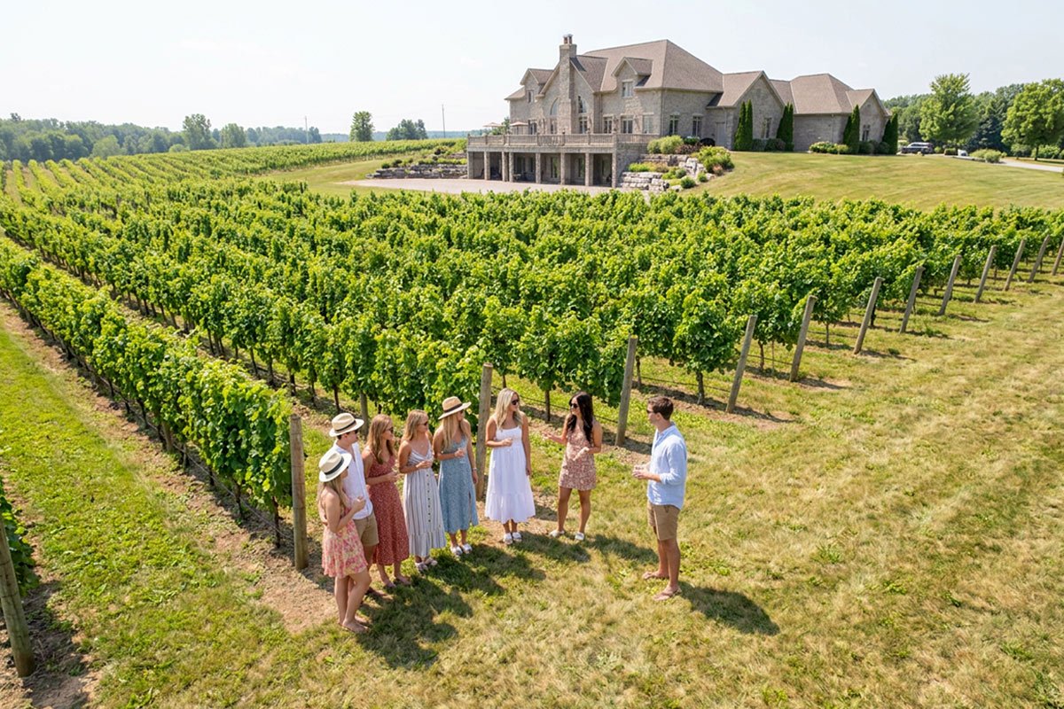 Aerial drone view of a group of people at a winery.