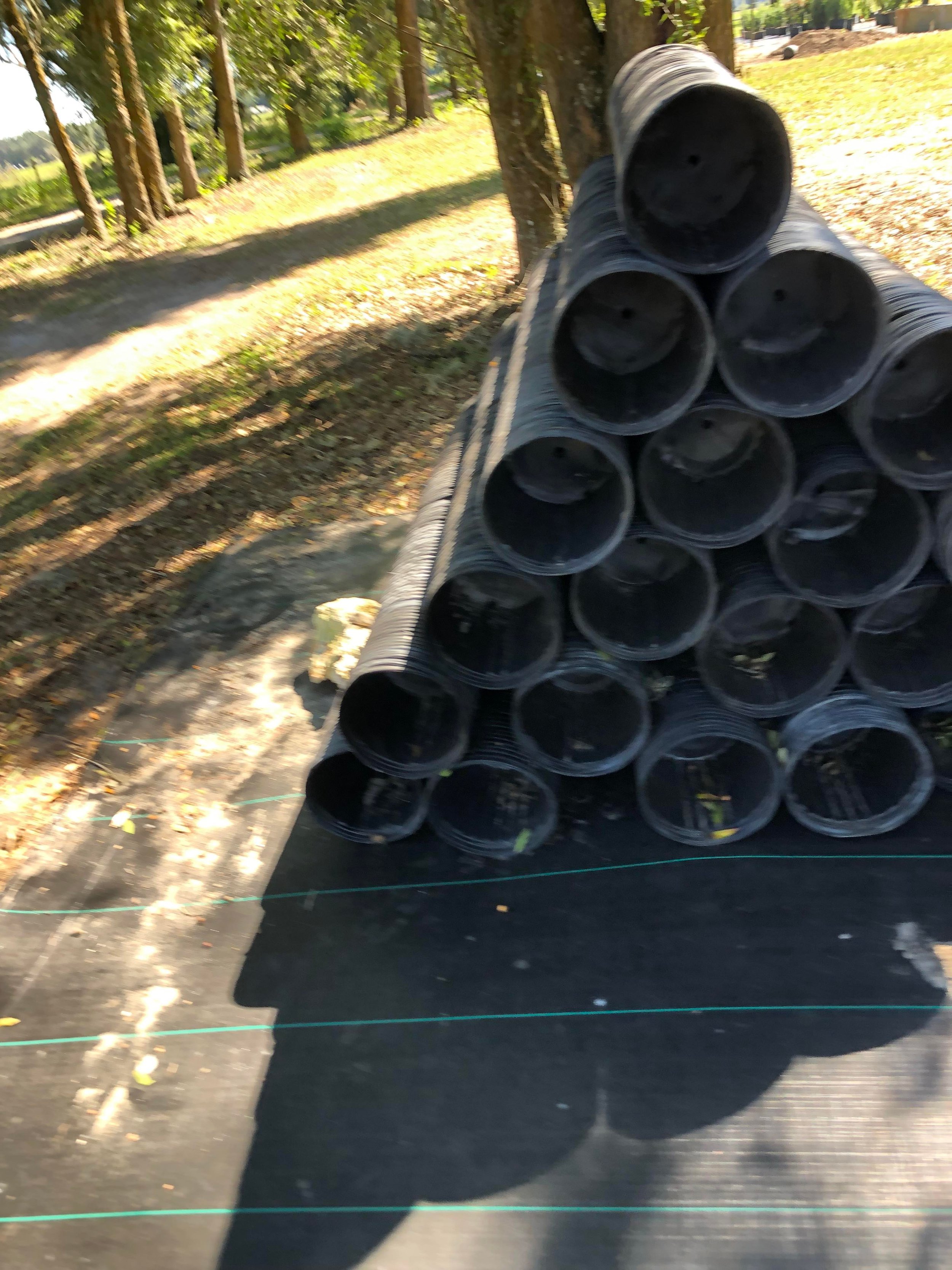 received_673045084885647.jpeg