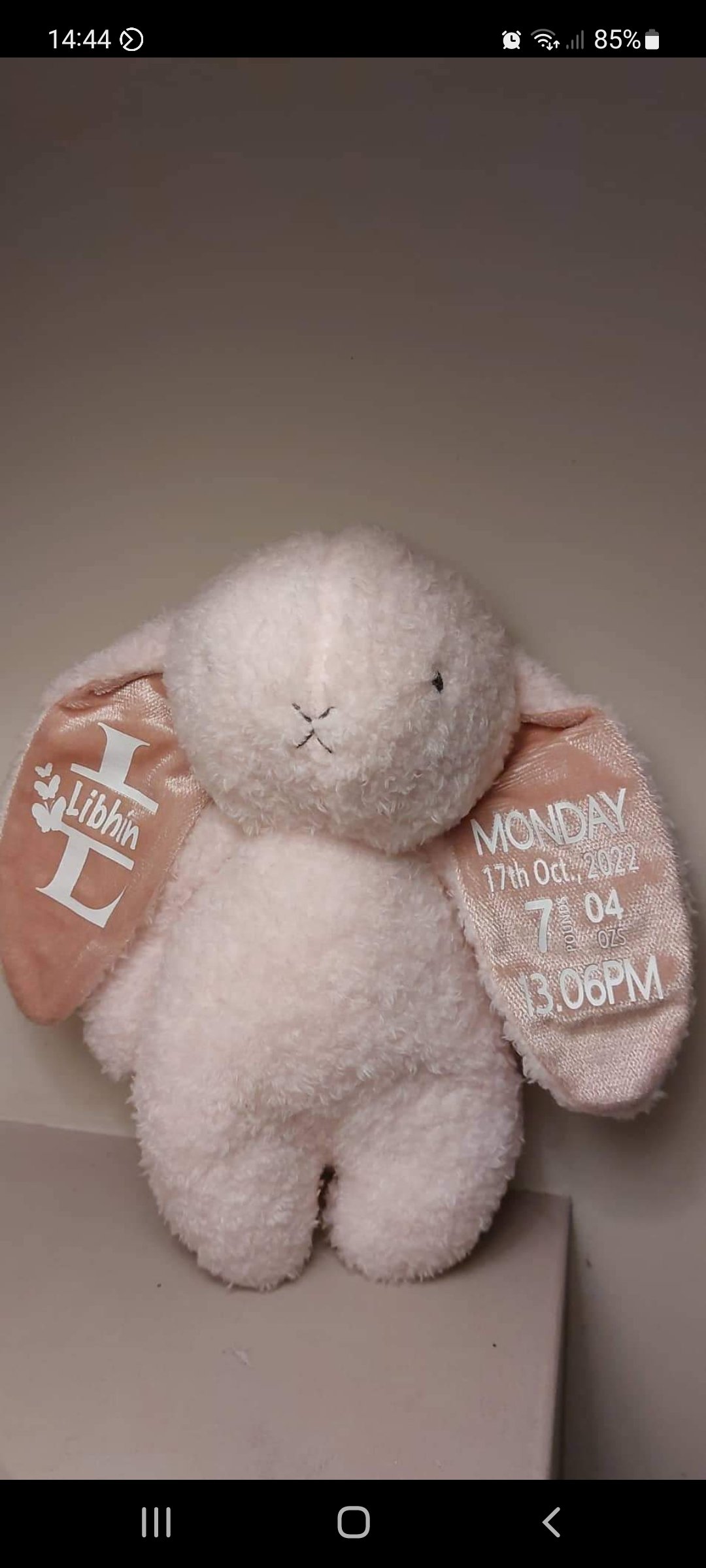 ITEM #76
€24
Personalised bunny teddy. (Pink).
