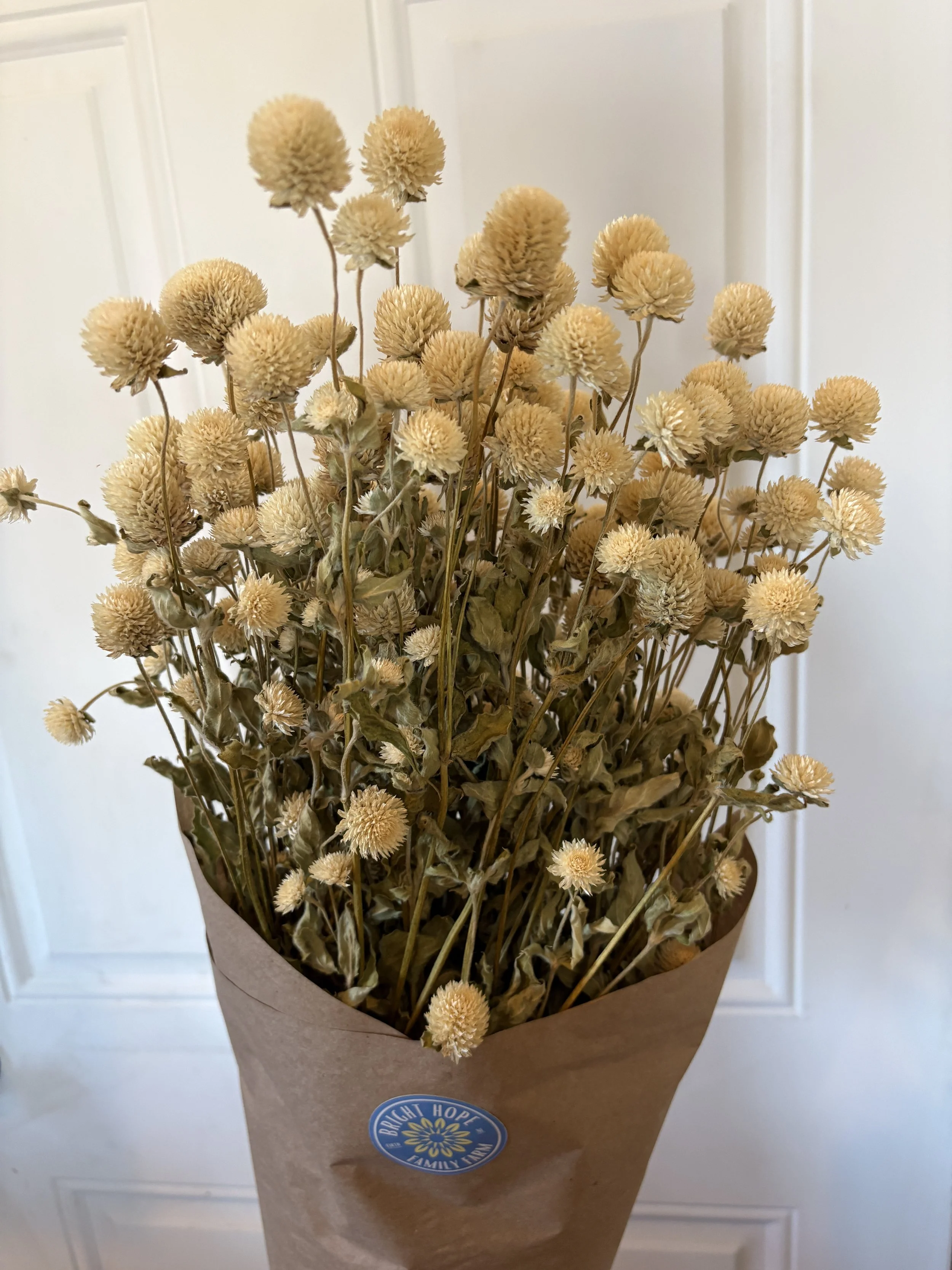 Dried White Gomphrena Bouquet