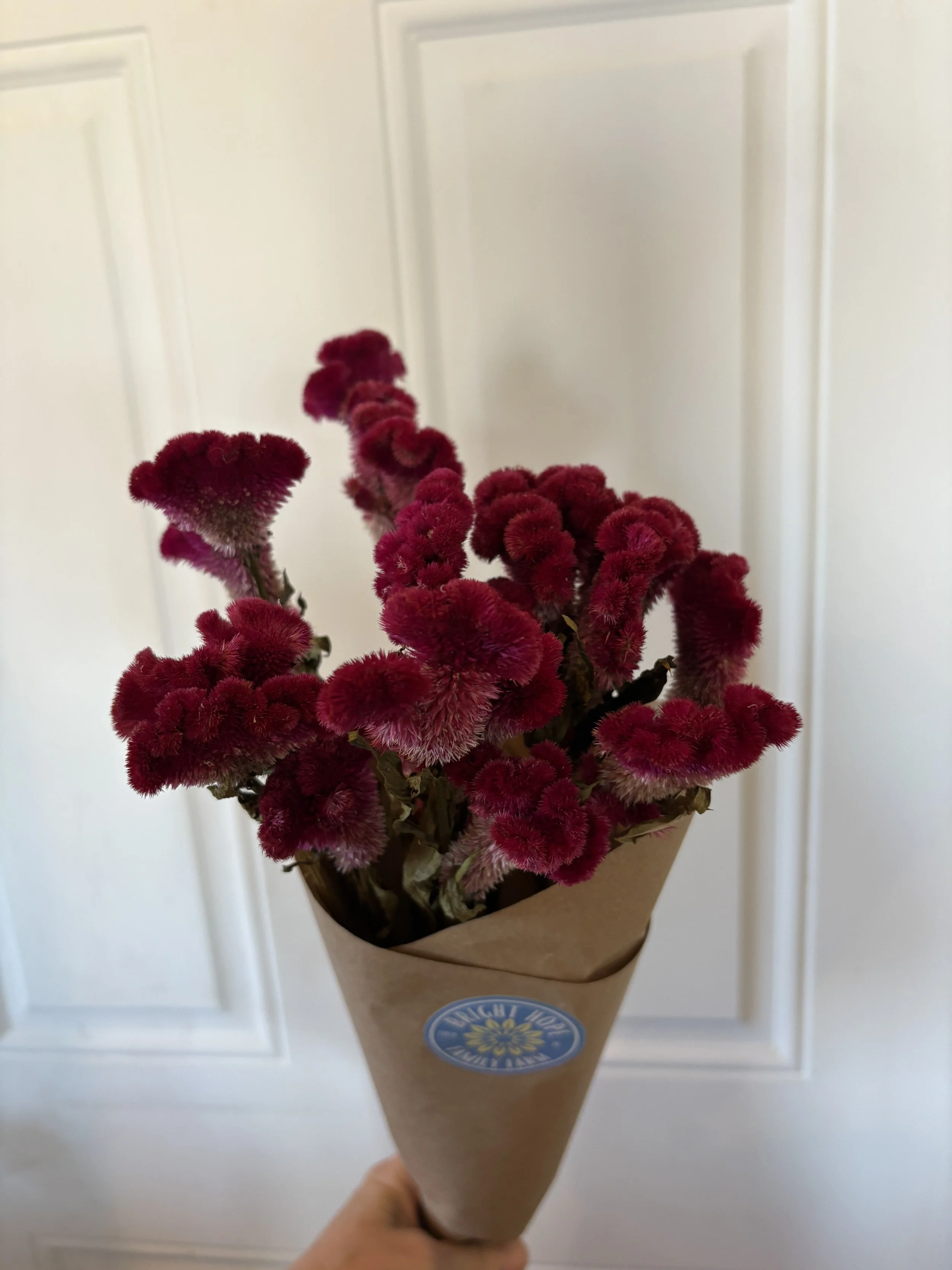 Rose Celosia Bouquet