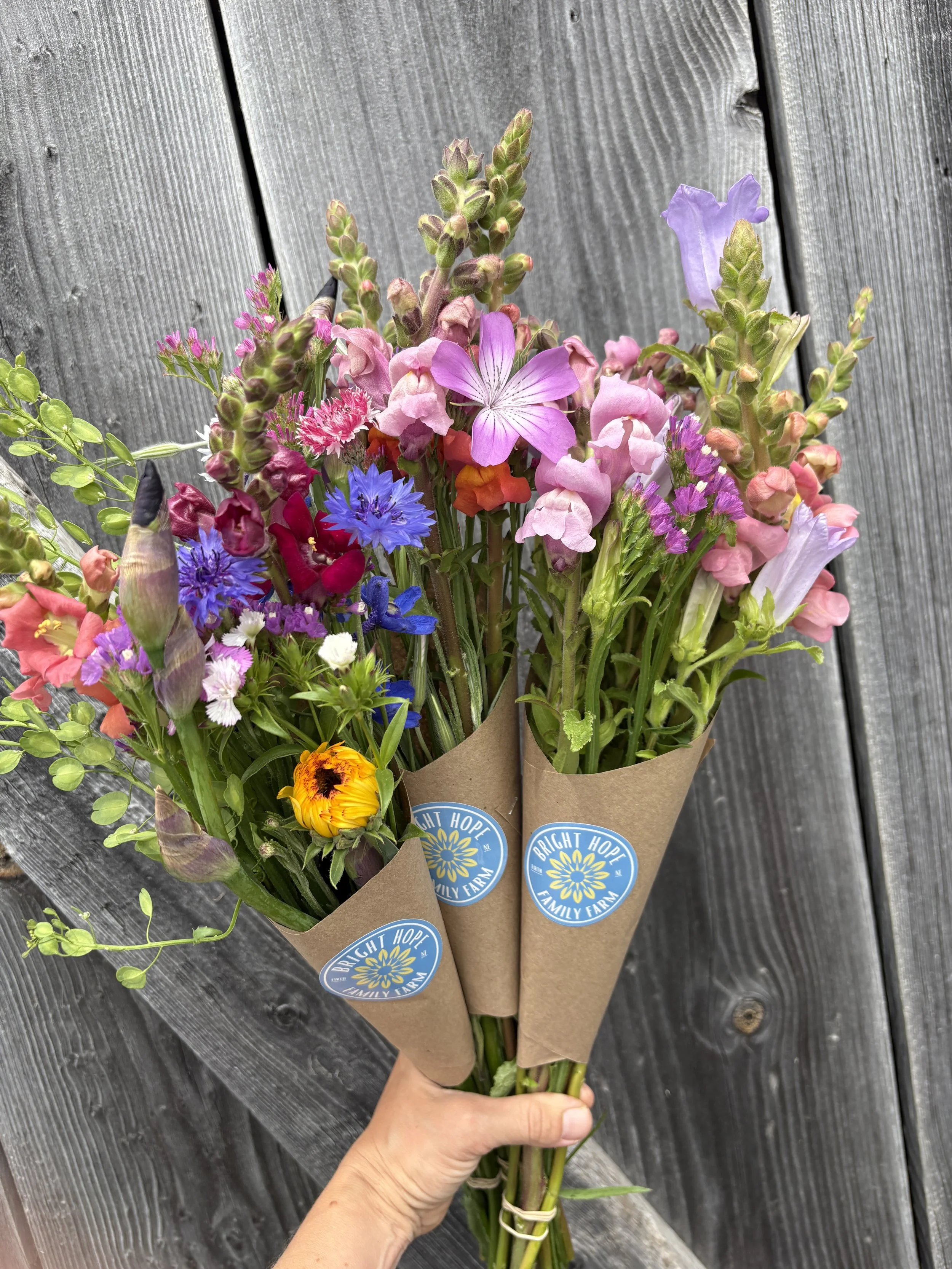 Posy - Mini Bouquet (1)