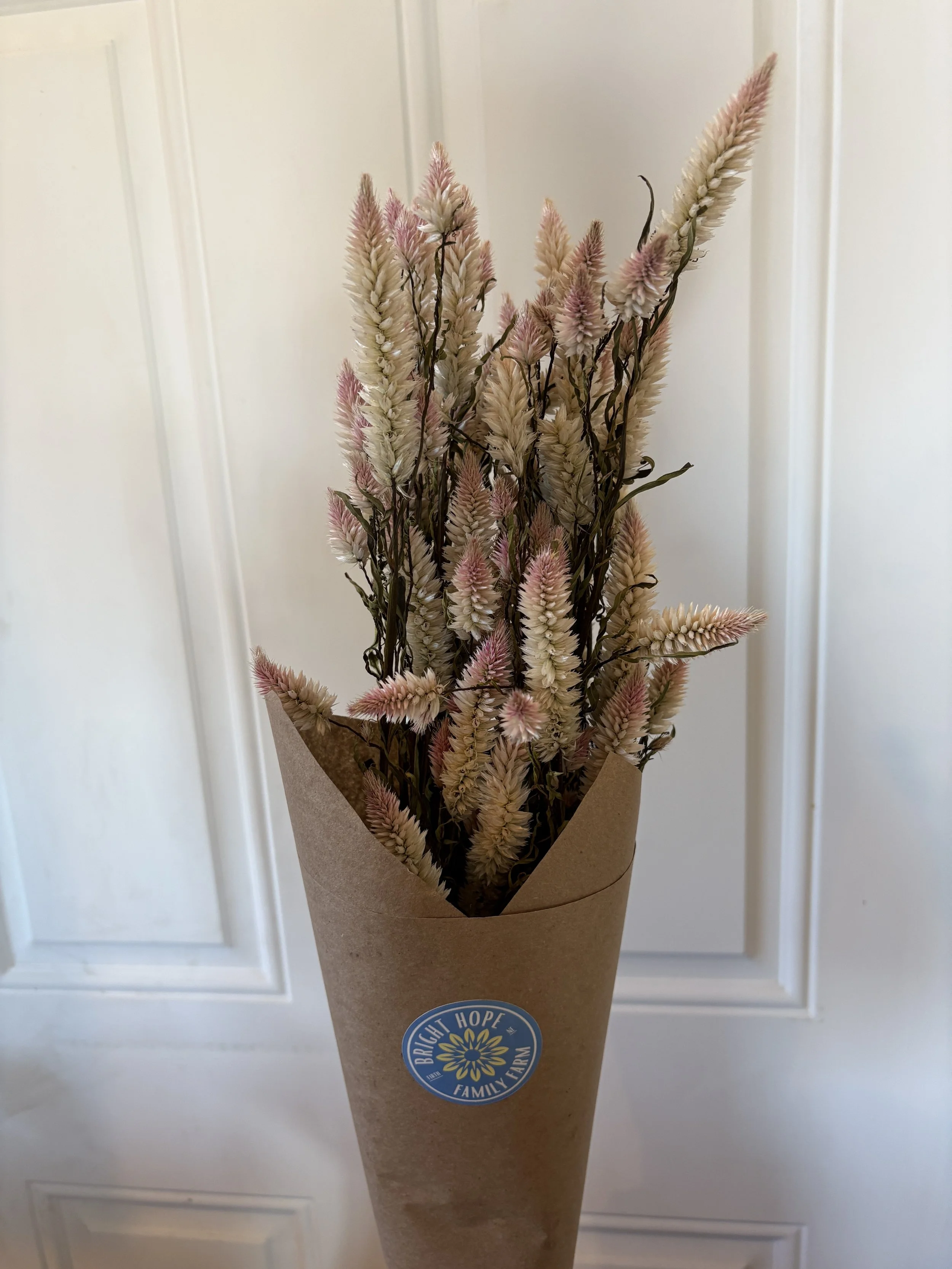 Dried Flamingo Celosia Bouquet