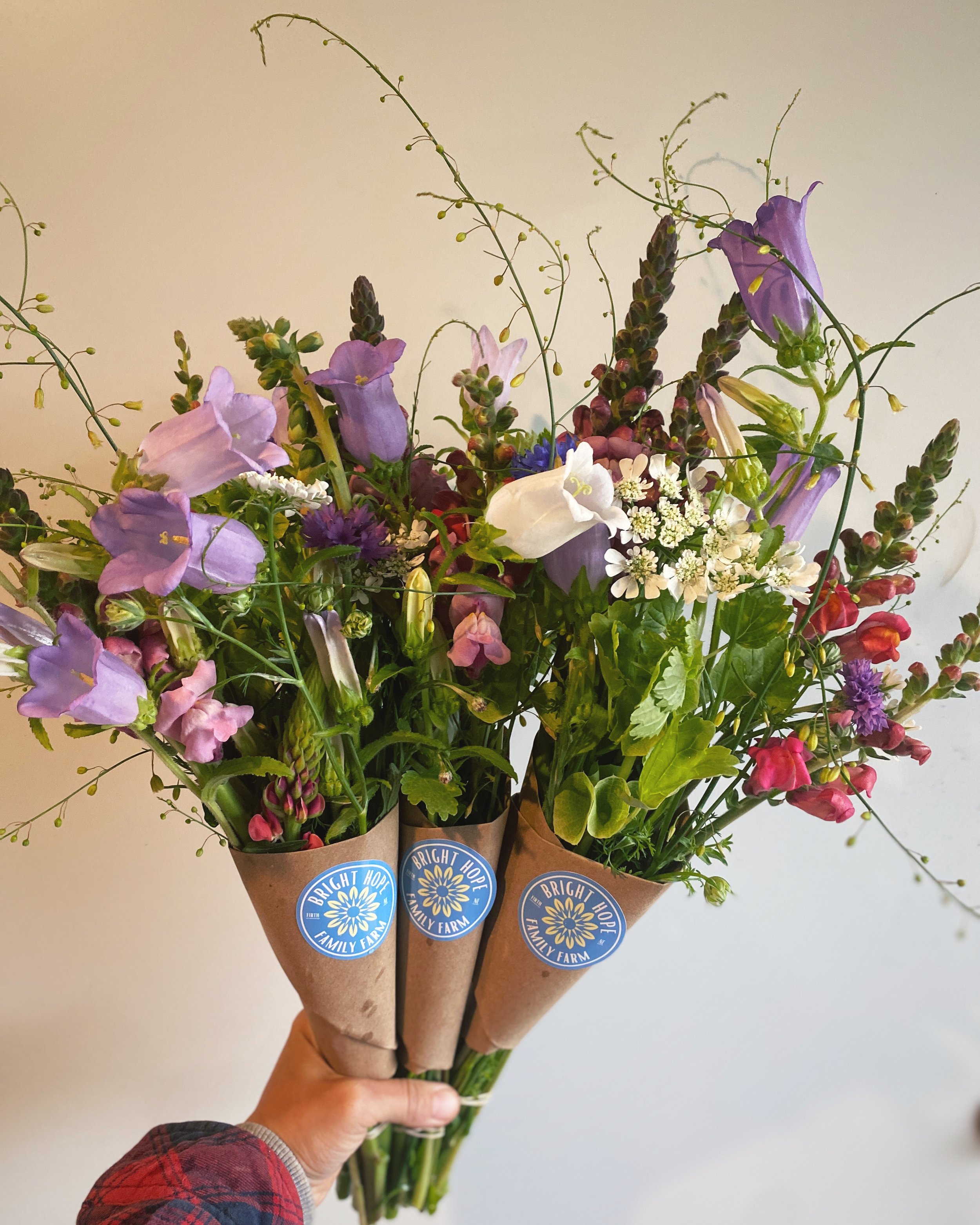 Posy - Mini Bouquet
