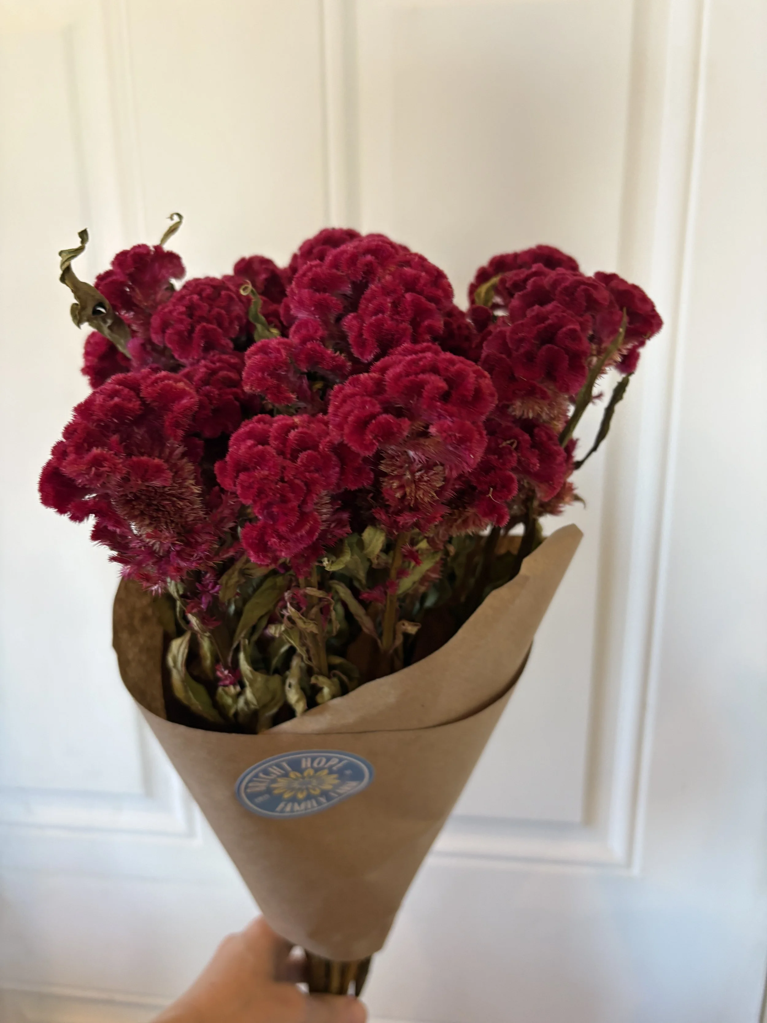 Dried Red Celosia Bouquet