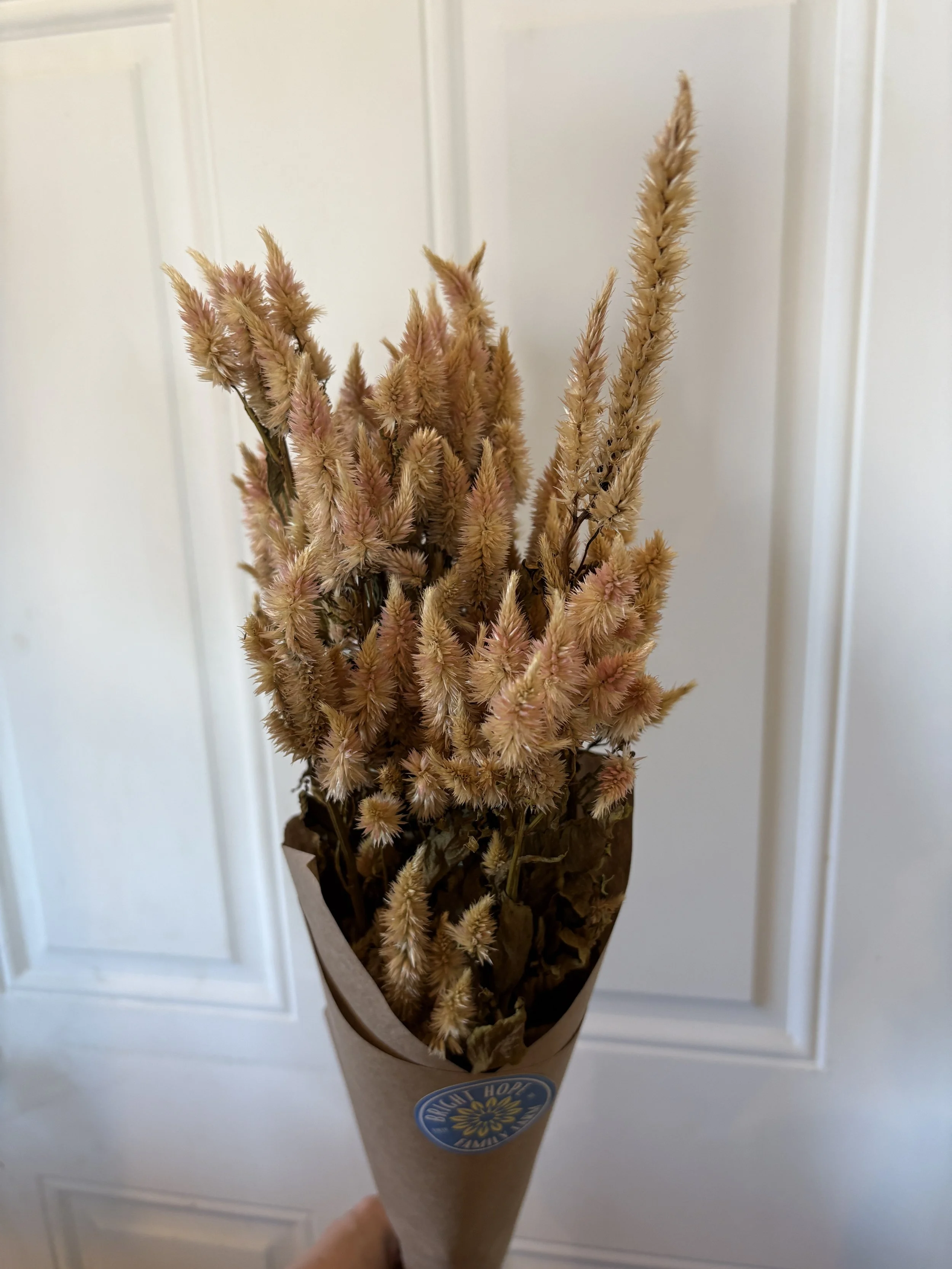 Dried Blush Celosia Bouquet