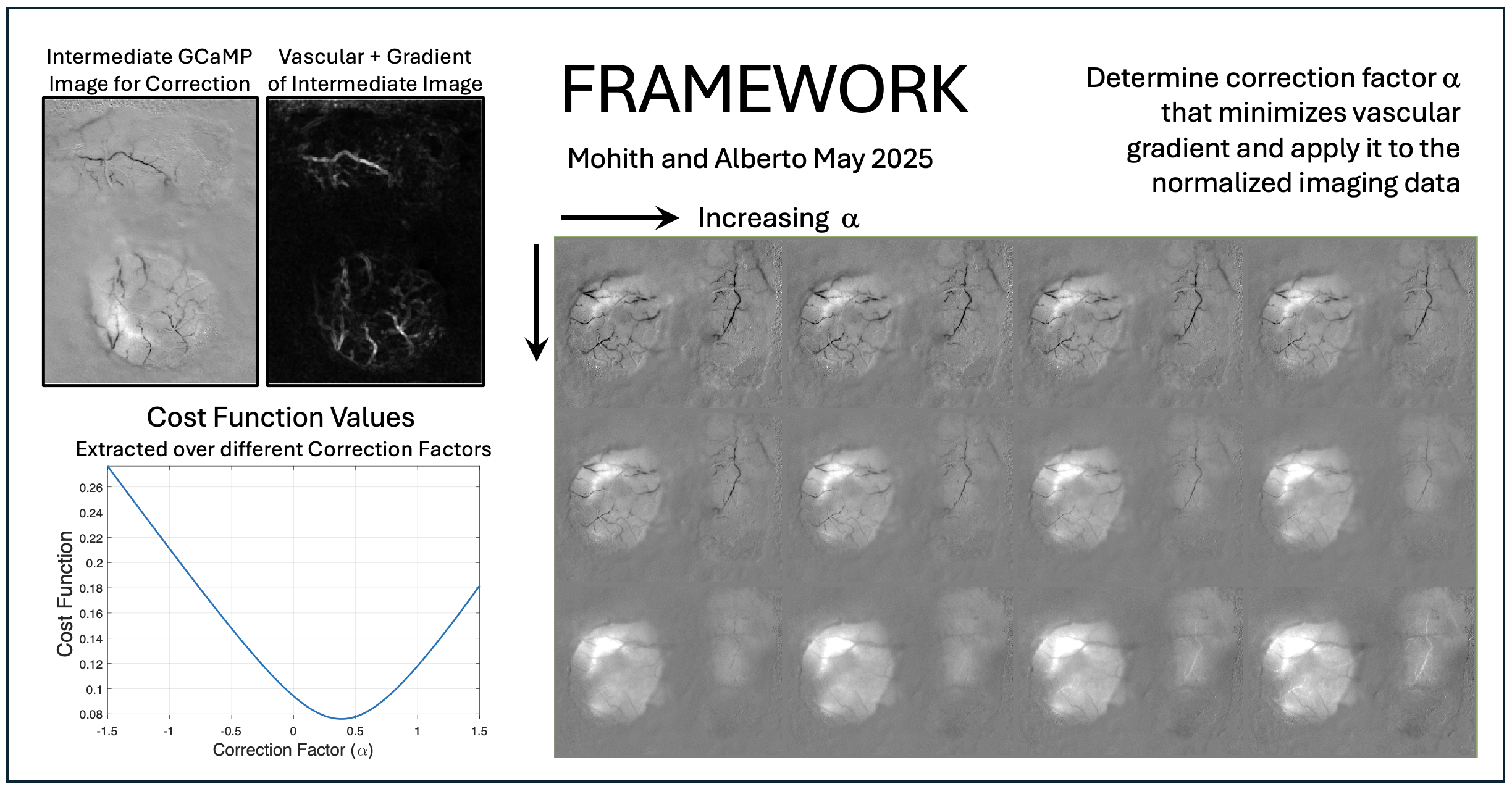  Mohith's Hemodynamic Correction for Widefield Imaging