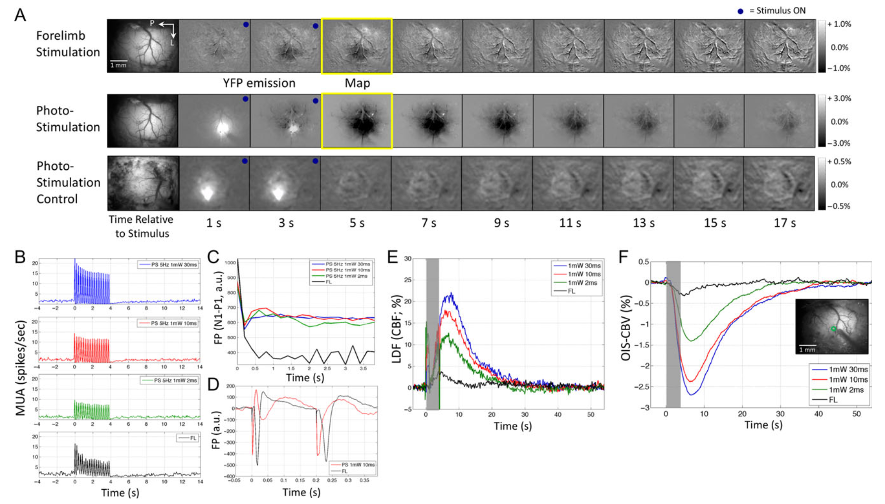 Screen Shot 2022-01-09 at 12.14.49 PM.png