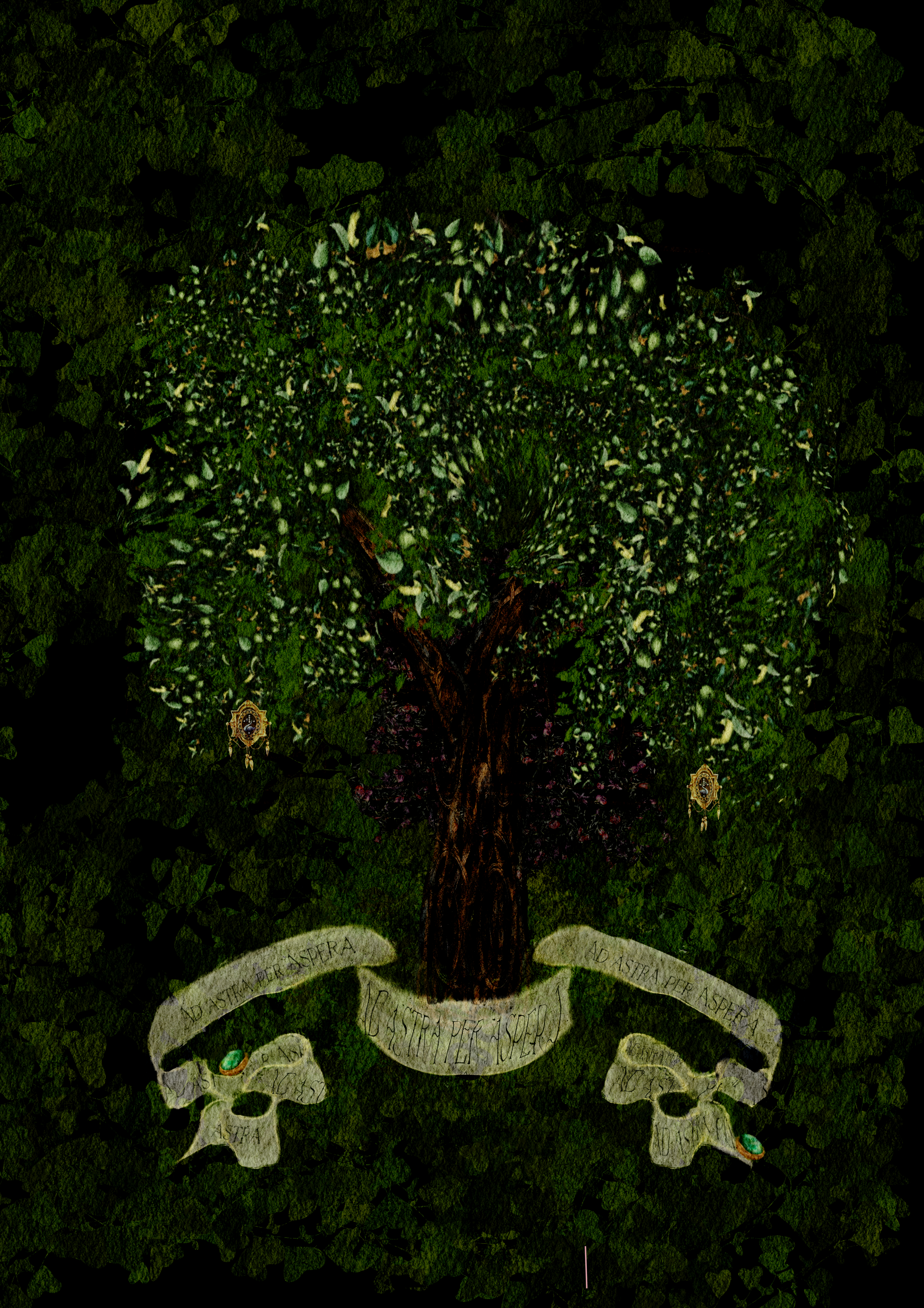 IMG_1694.PNG