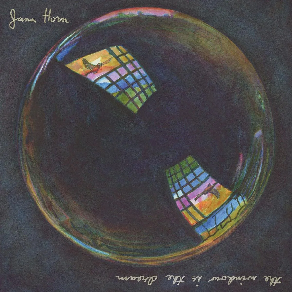 JANA HORN - THE WINDOW IS THE DREAM.jpeg