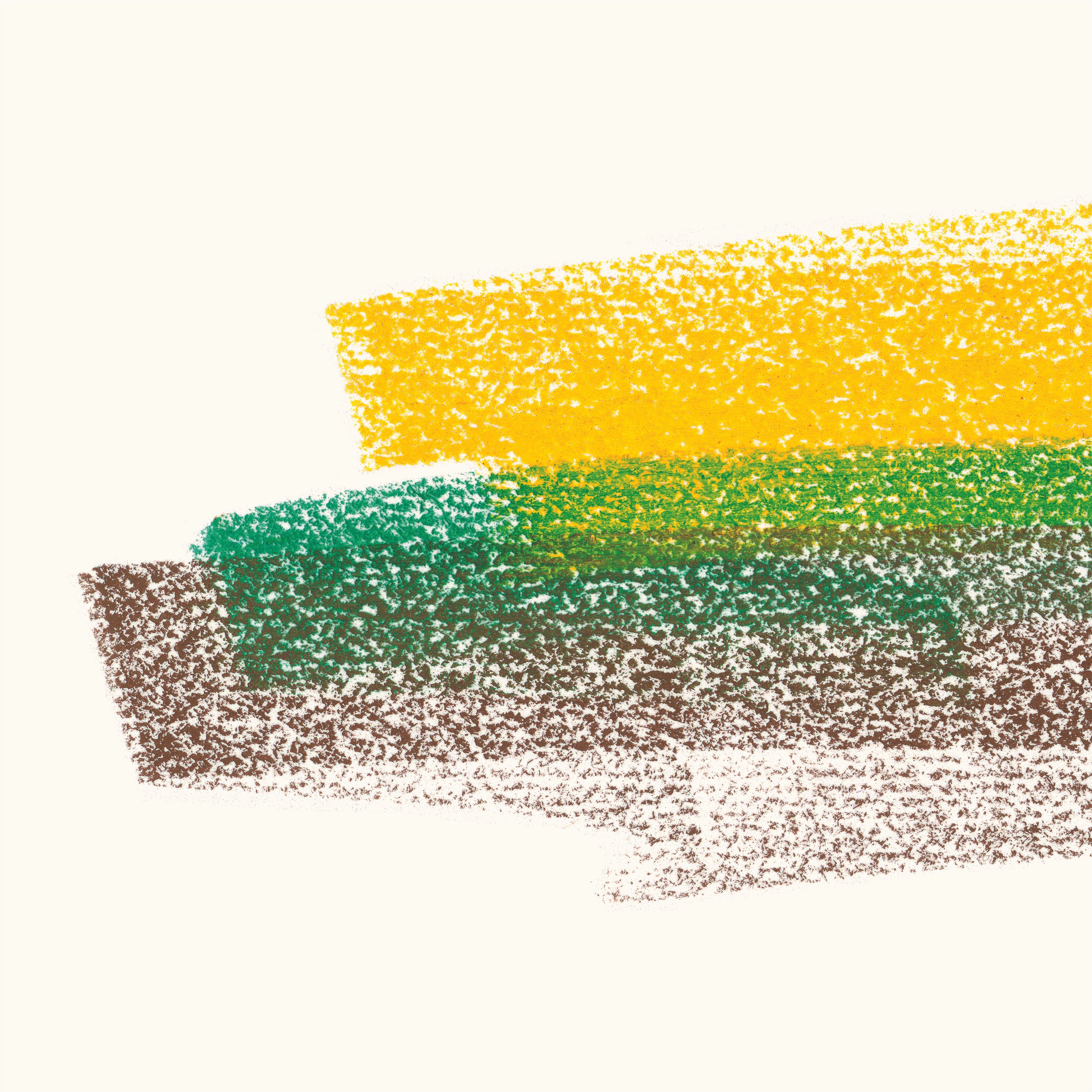 Flore Laurentienne - Volume III