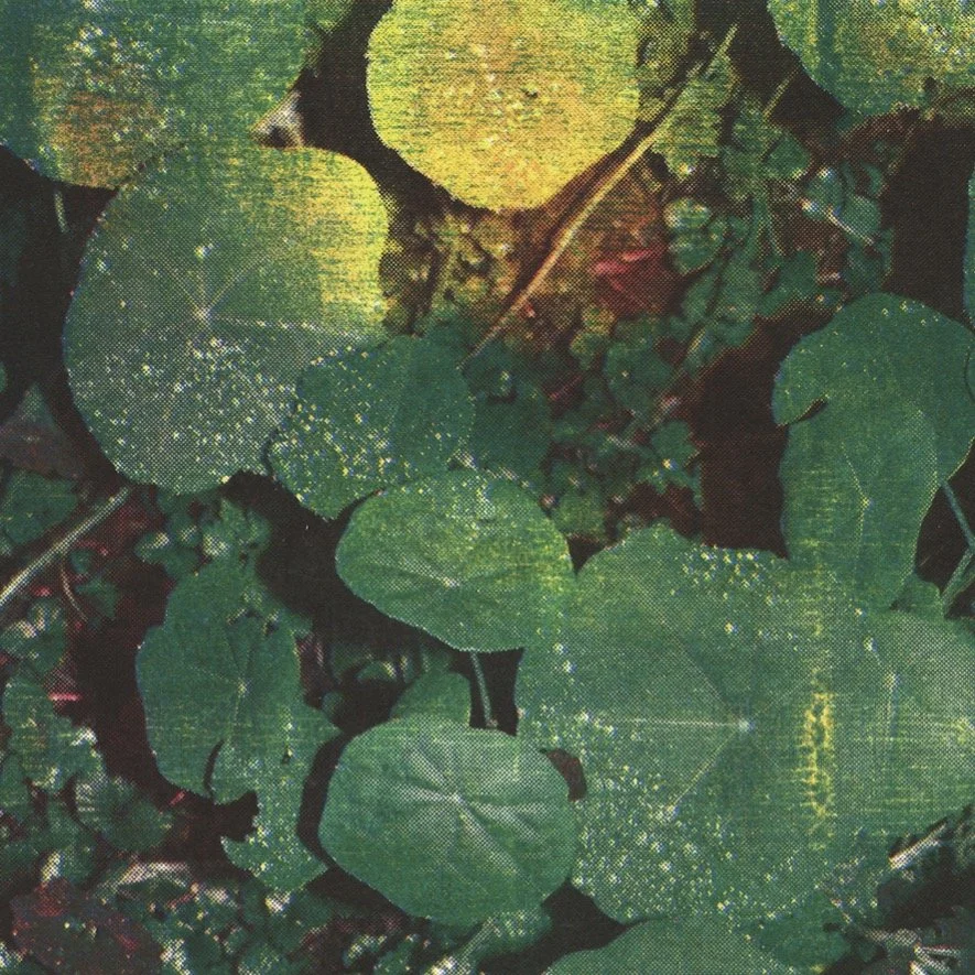 Whoman - About Honey