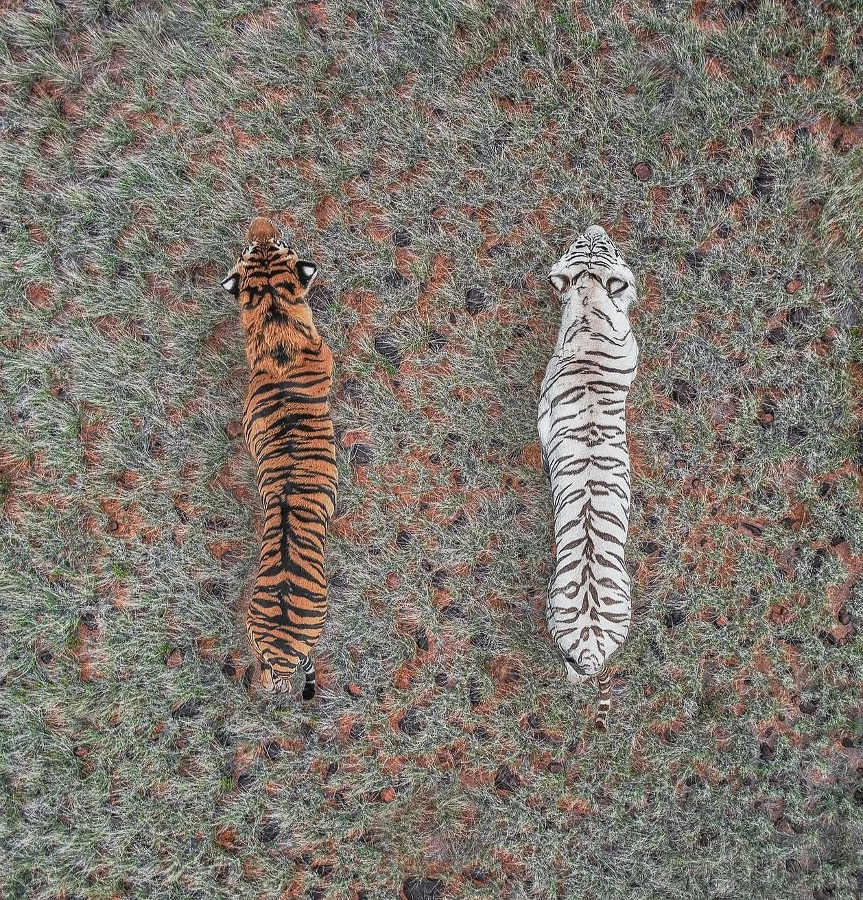 current faves ❤️&zwj;🔥

~ pumpkin beer
~ gua sha 
~ ocean walks
~ DWTS 📺
~ new haven pizza 🍕
~ soul food hair mask 
~ slow mornings outside with coffee
~ exploring new places with my 🕺+ 🐶
~ face value everything ✨ 
~ YouTube workouts
~ sweater w