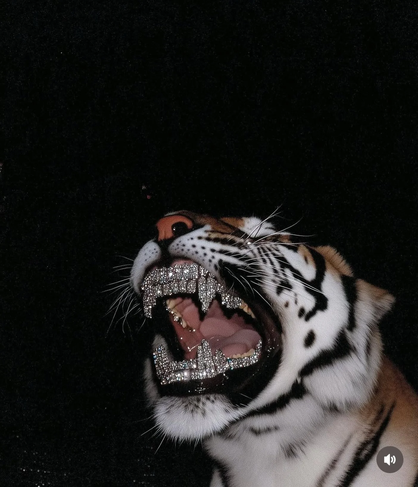 current faves ❤️&zwj;🔥

~ ocean waves
~ gratitude 
~ Diet Coke lime 🍋&zwj;🟩 
~ DWTS 📺
~ @goodcompanyfoodshop sandwiches
~ sharing your feelings in the moment 
~ learning new technique 🤓
~ box breathing 
~ midweek champagne 
~  Christmas decorati